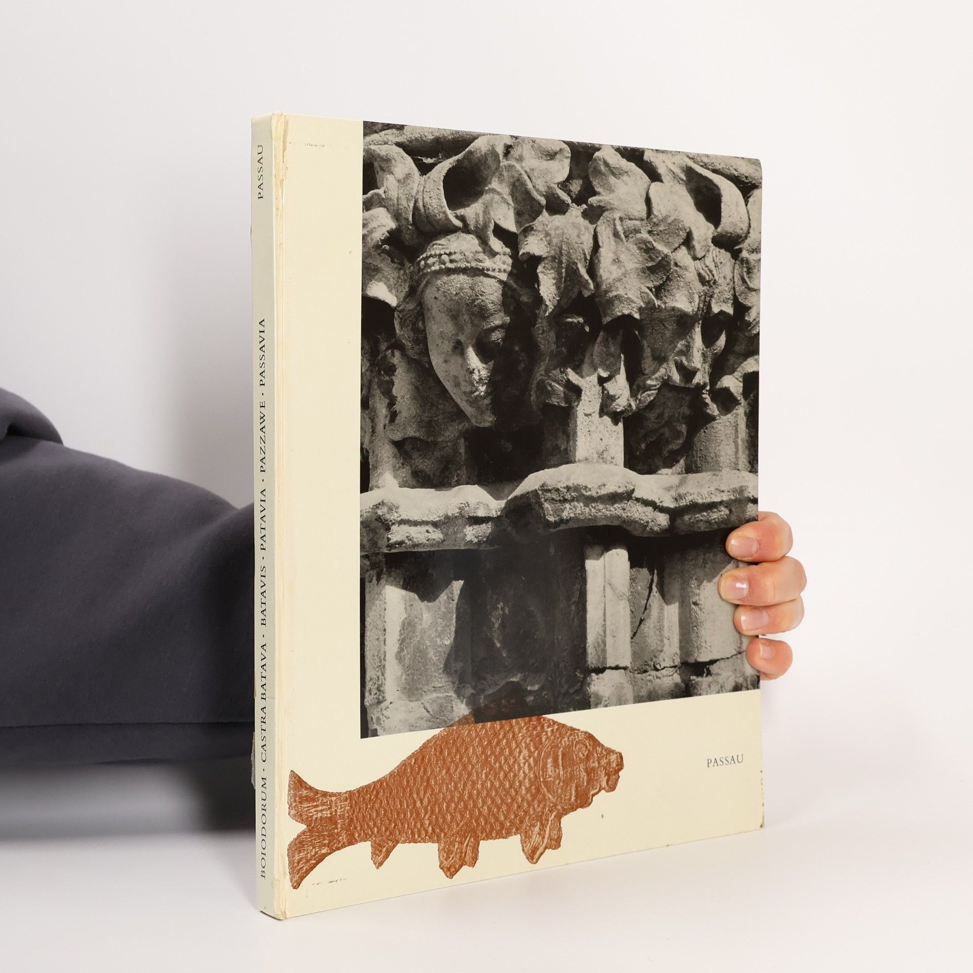 Kolektiv autorů Boiodorum. Castra Batava. Batavis. Patavia. Pazzawe. Passavia