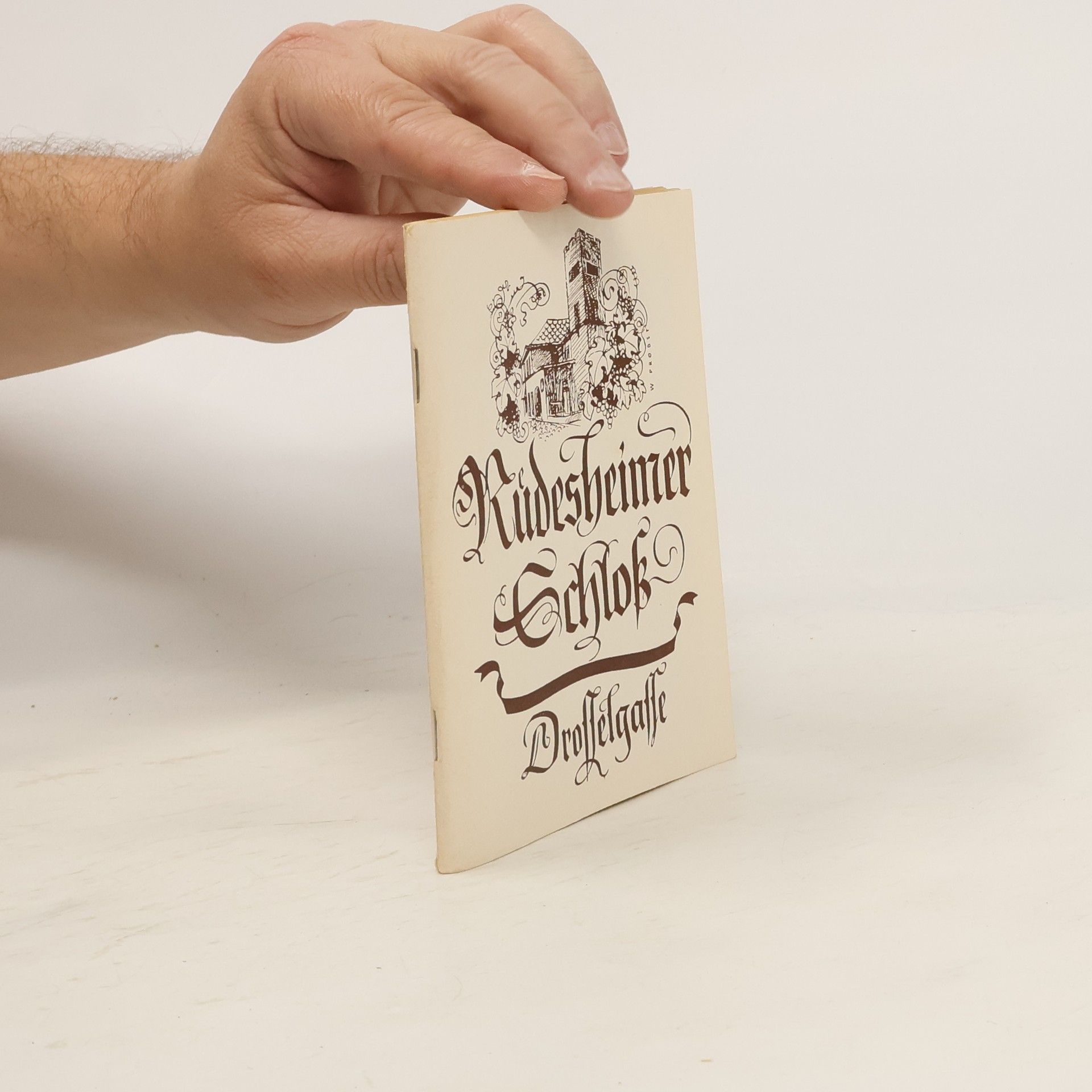 Autorenkollektiv Rüdesheimer Schloß. Drosselgasse