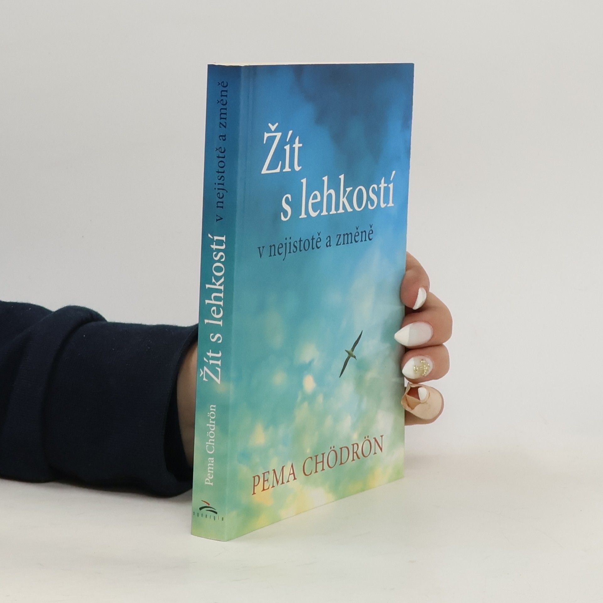 Pema Chödrön Žít s lehkostí