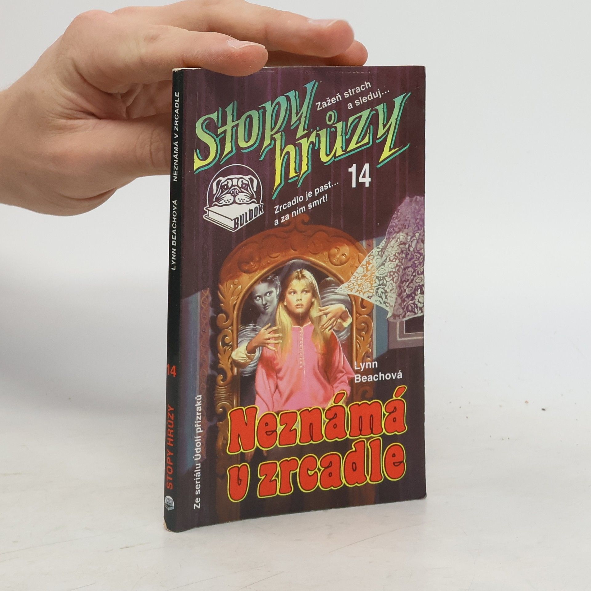 Lynn Beach Neznámá v zrcadle
