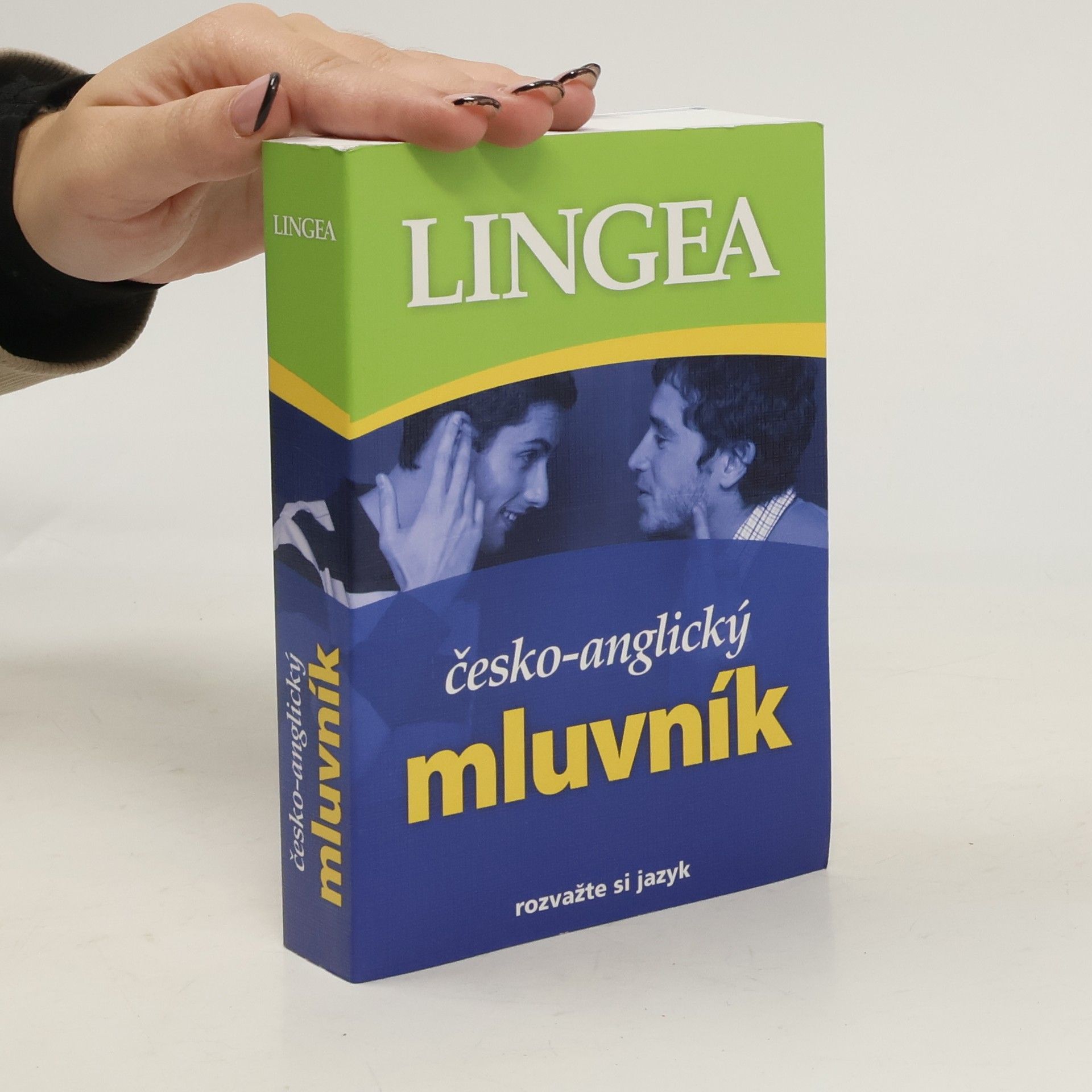 Autorenkollektiv Česko-anglický mluvník