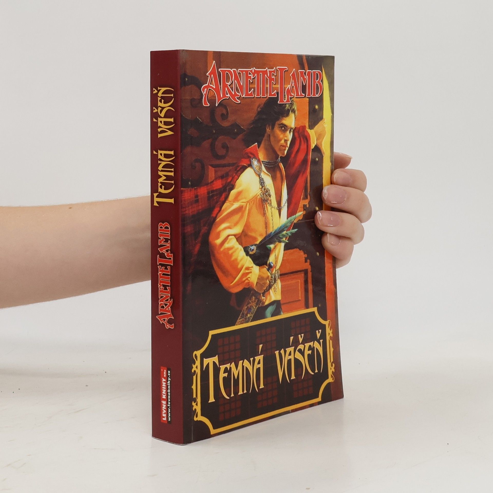 Arnette Lamb Temná vášeň