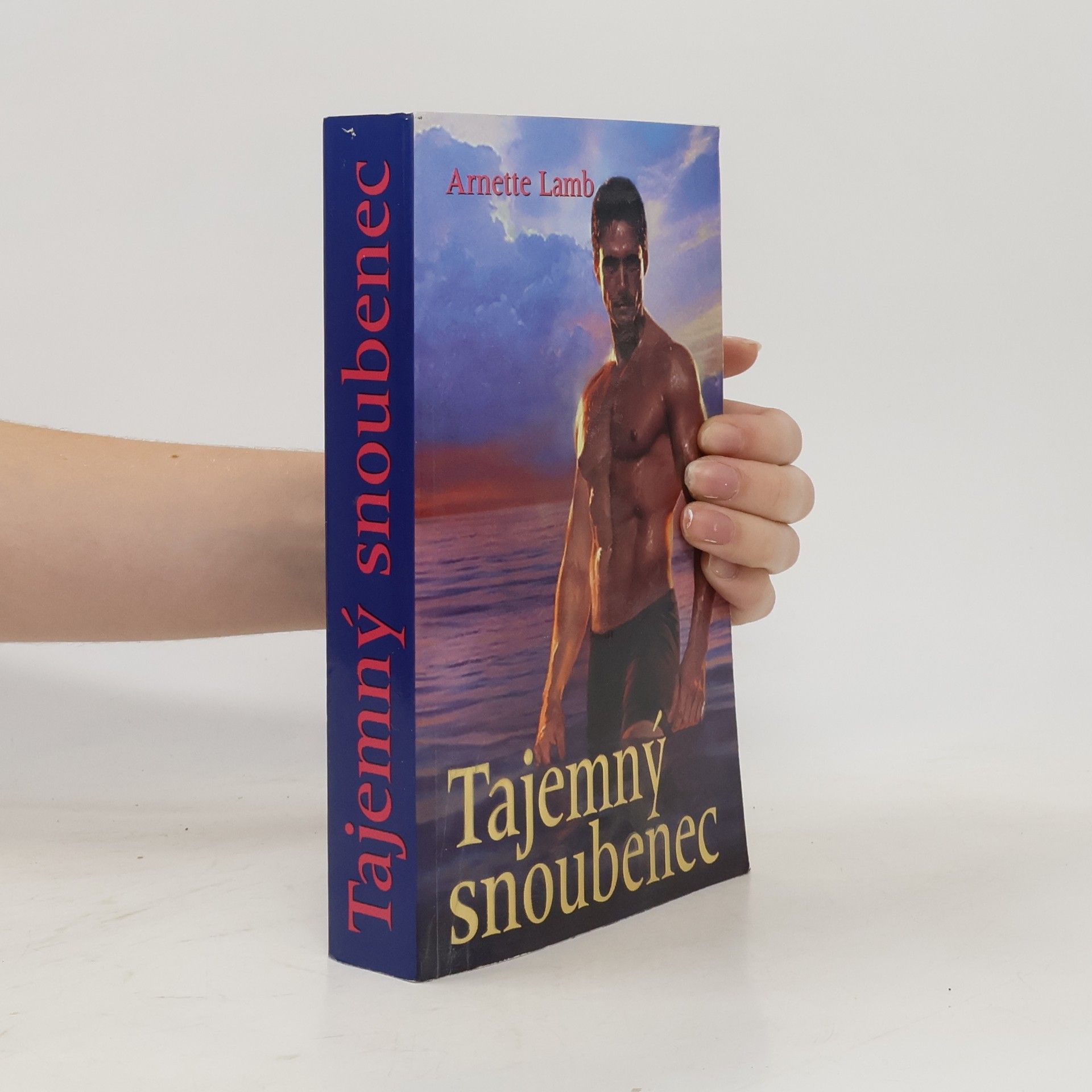 Arnette Lamb Tajemný snoubenec