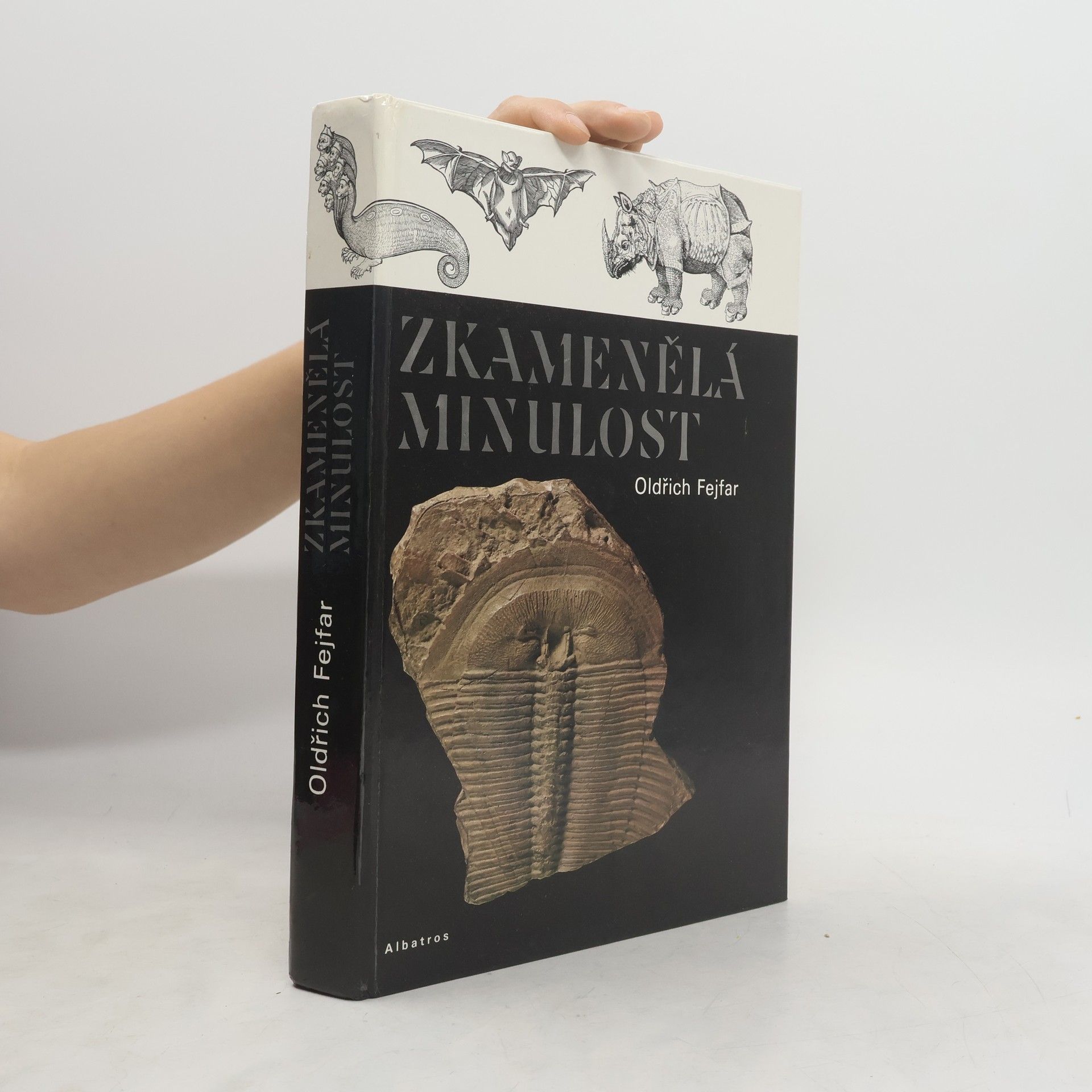 Pavel Stecha Zkamenělá minulost