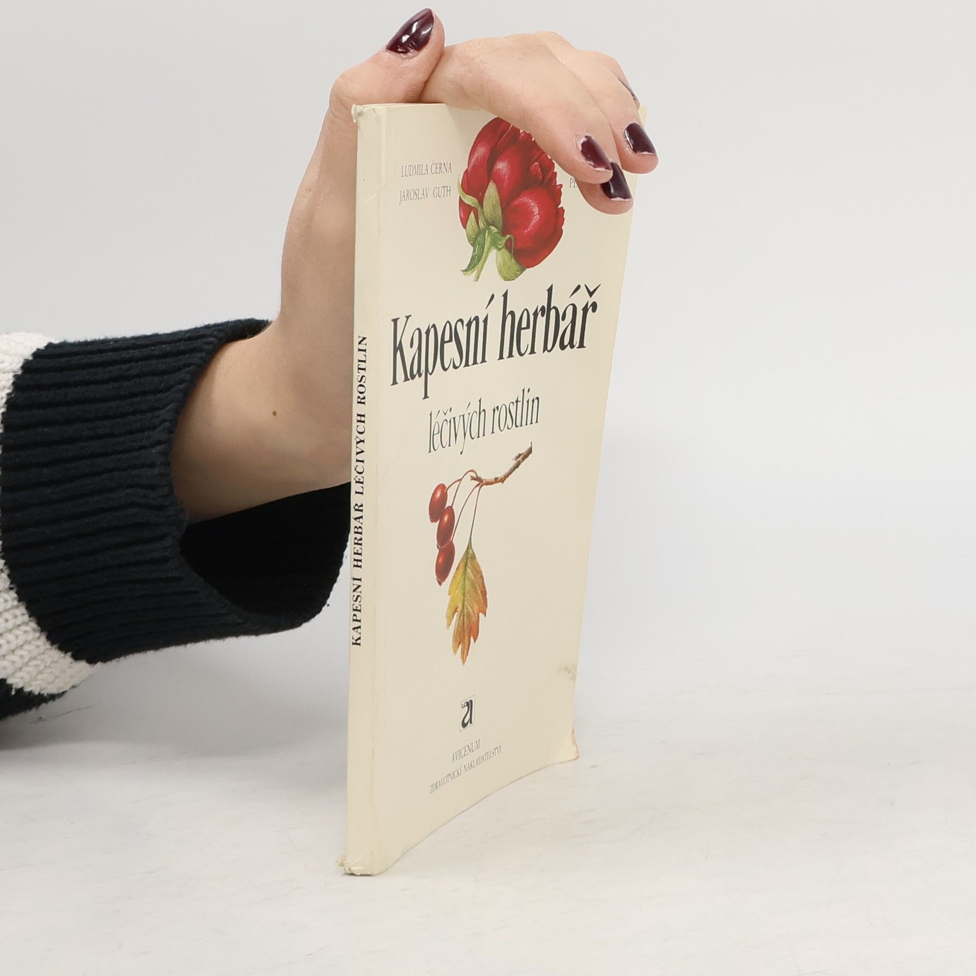 Ludmila Černá Kapesní herbář léčivých rostlin