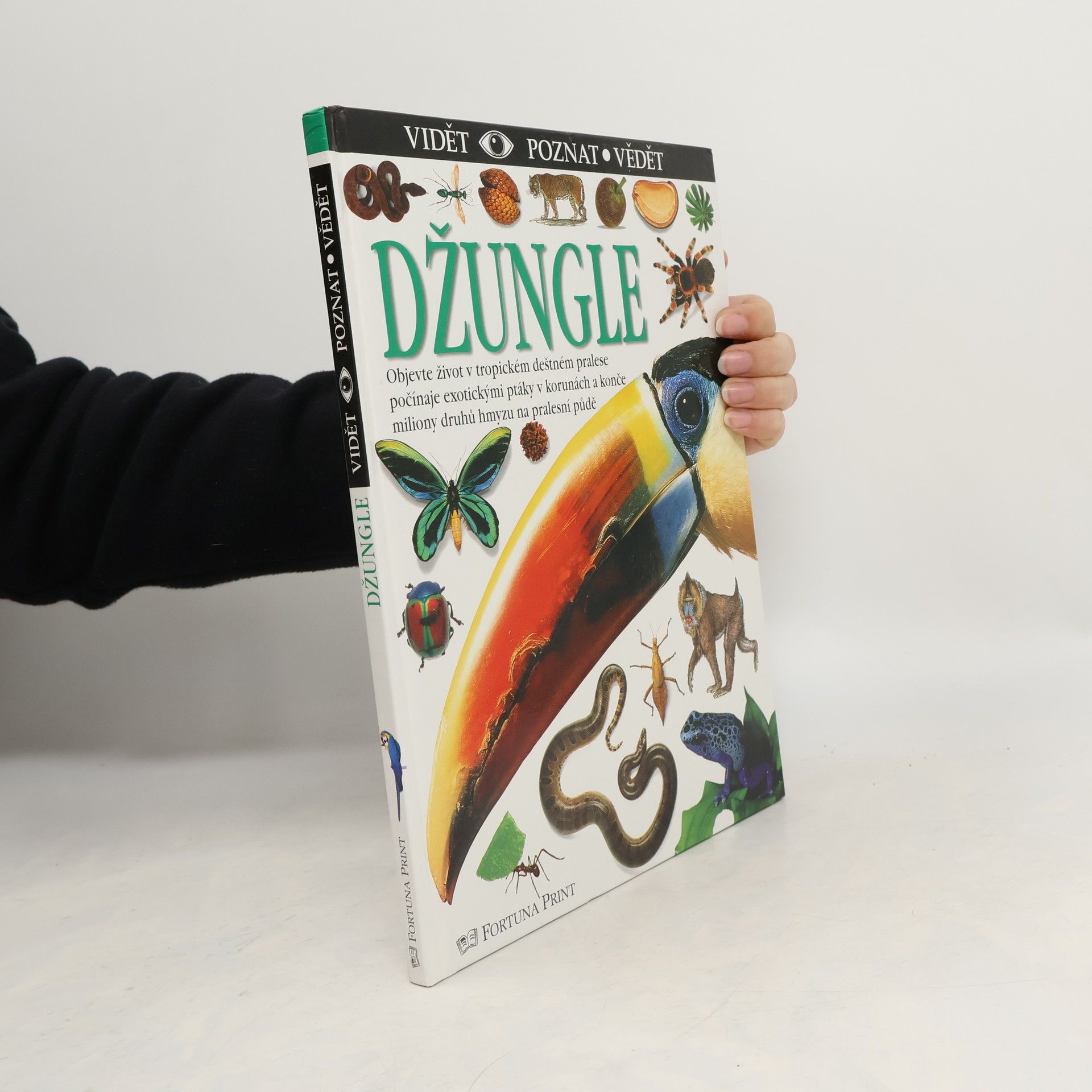 Theresa Greenaway Džungle