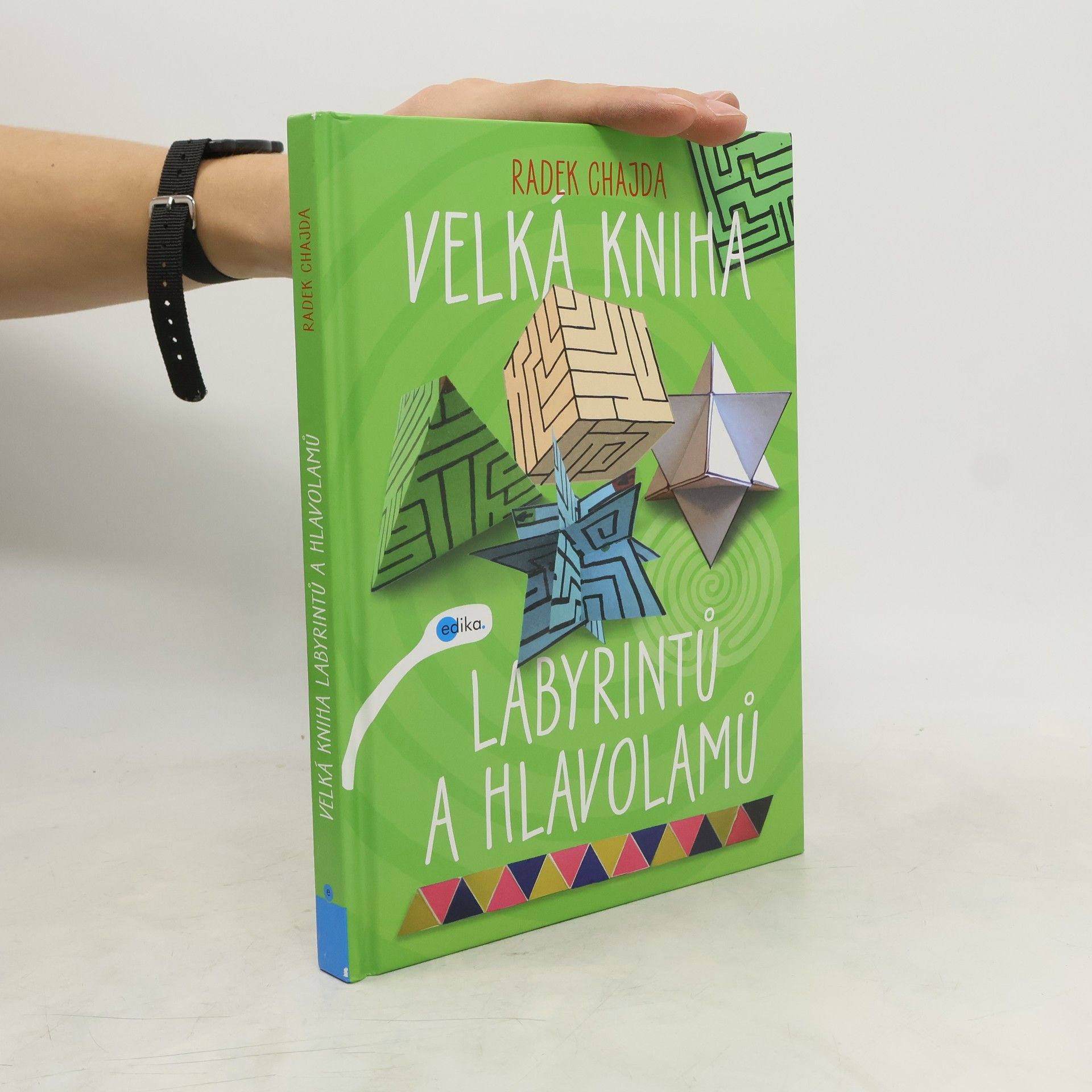 Radek Chajda Velká kniha labyrintů a hlavolamů