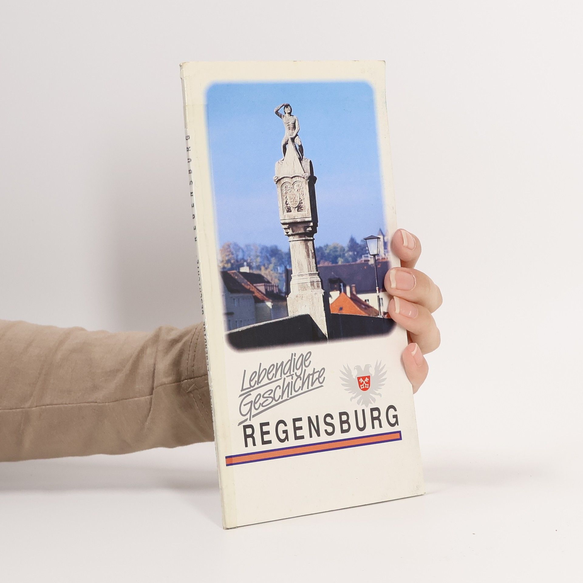 Auteurscollectief Regensburg. Lebendige Geschichte