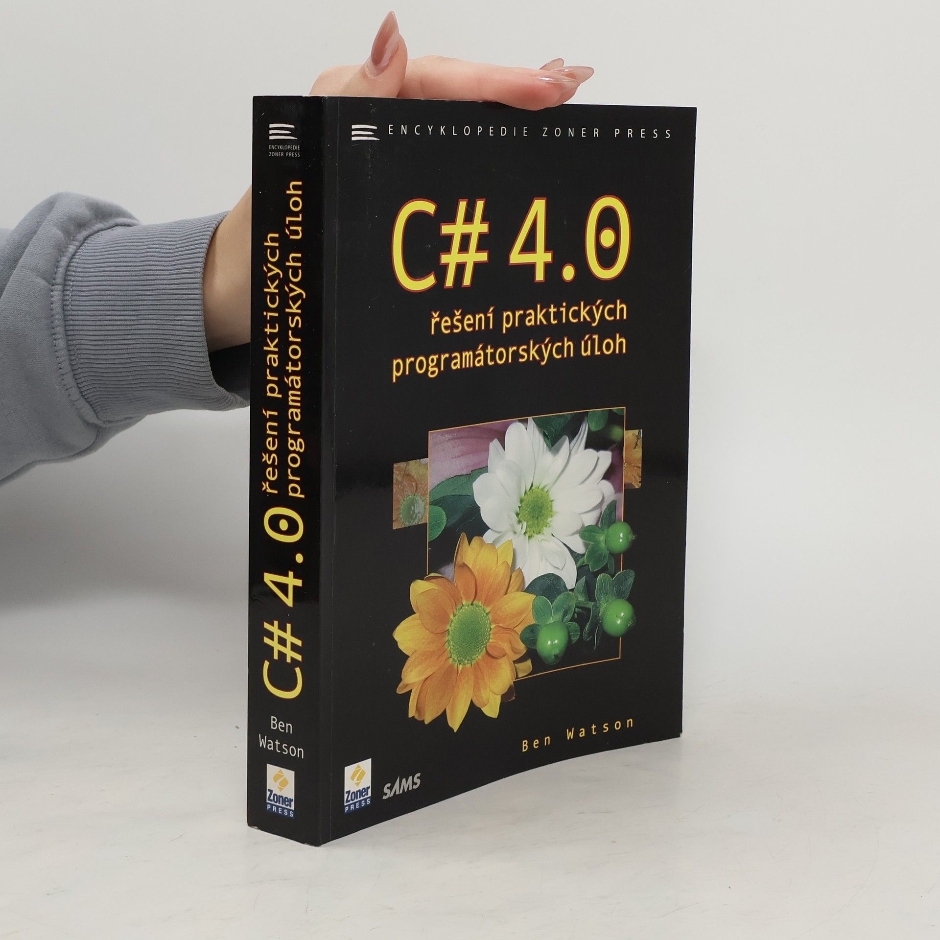 Benjamin Watson C# 4.0 - řešení praktických programátorských úloh