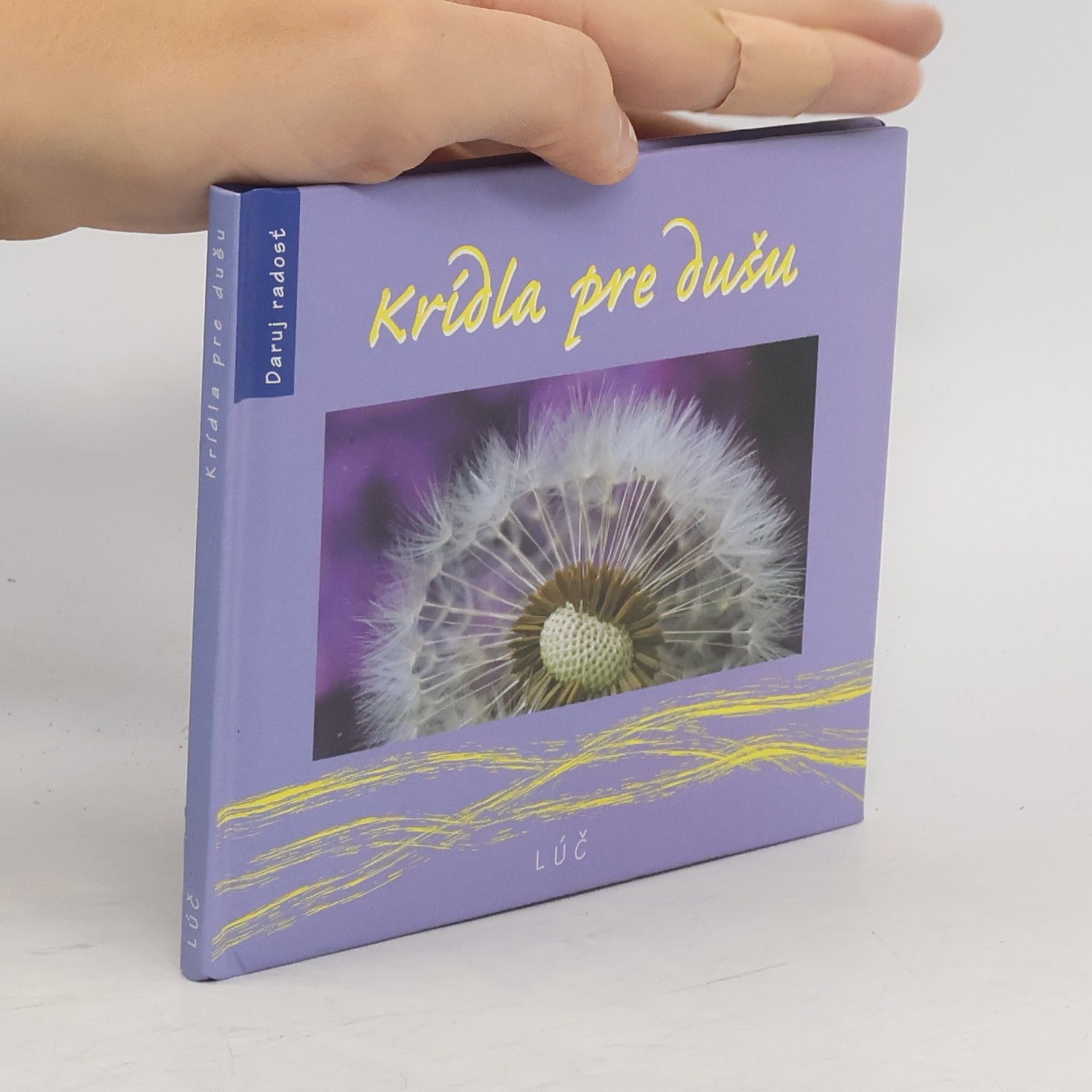 Helena Saišová Krídla pre dušu