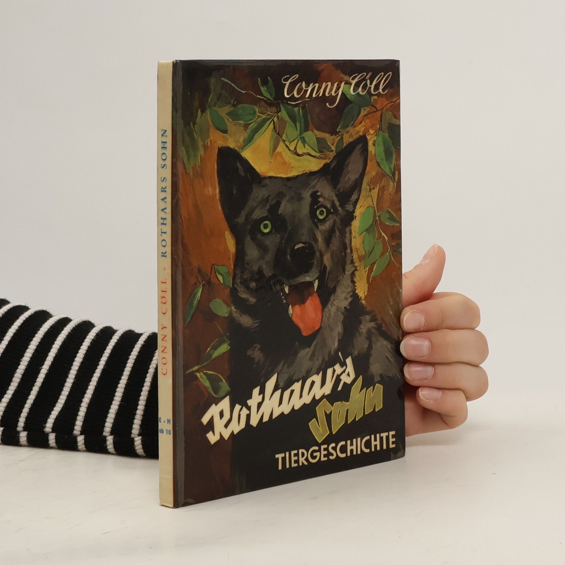 Rothaar's wilder Sohn. Tiergeschichte