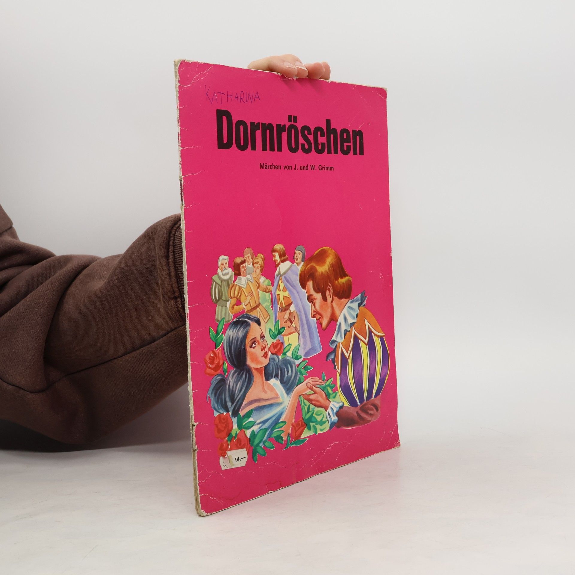 Various authors Dornröschen