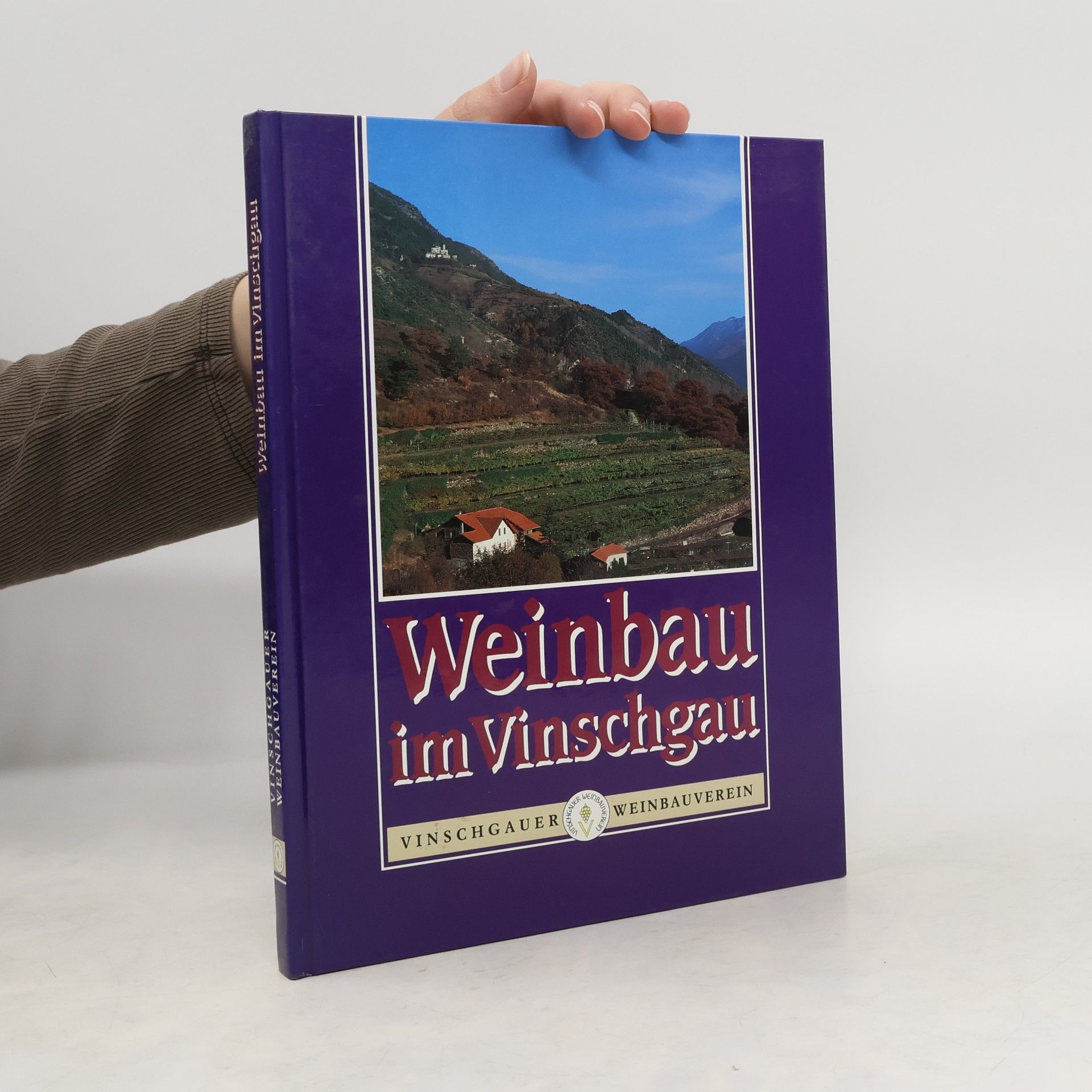 Weinbau im Vinschgau