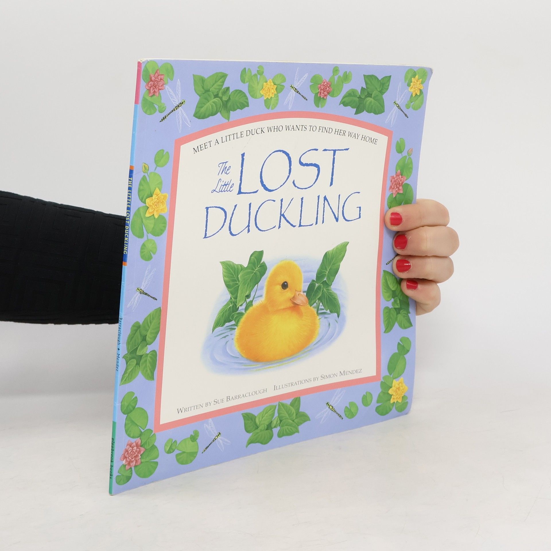 Sue Barraclough The Little Lost Duckling