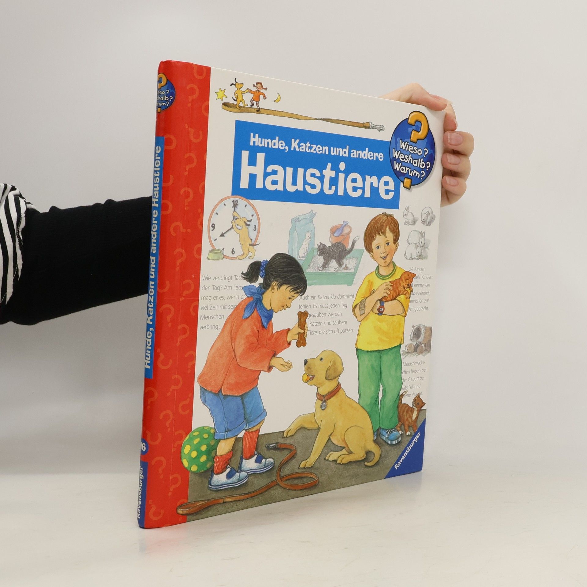 Hunde, Katzen und andere Haustiere