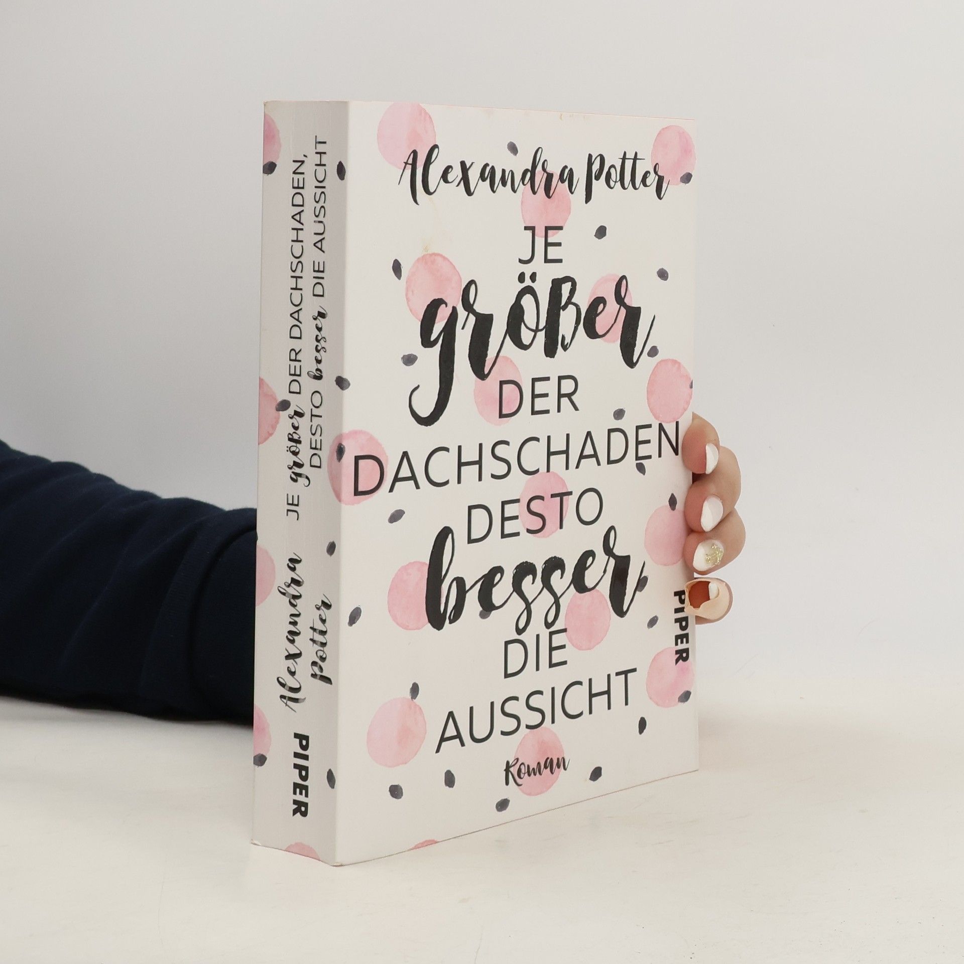 Alexandra Potter Je größer der Dachschaden, desto besser die Aussicht