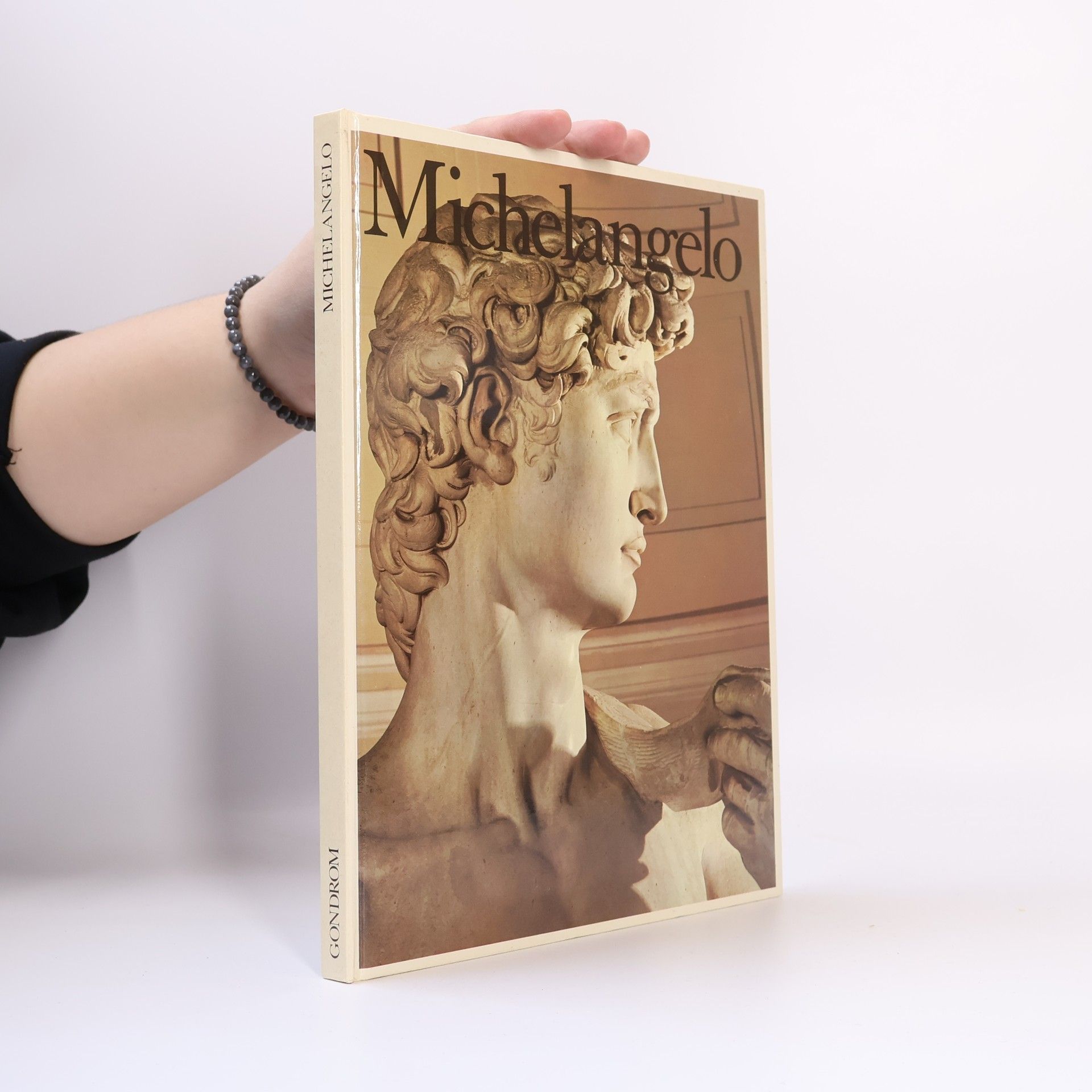 Autores varios Michelangelo