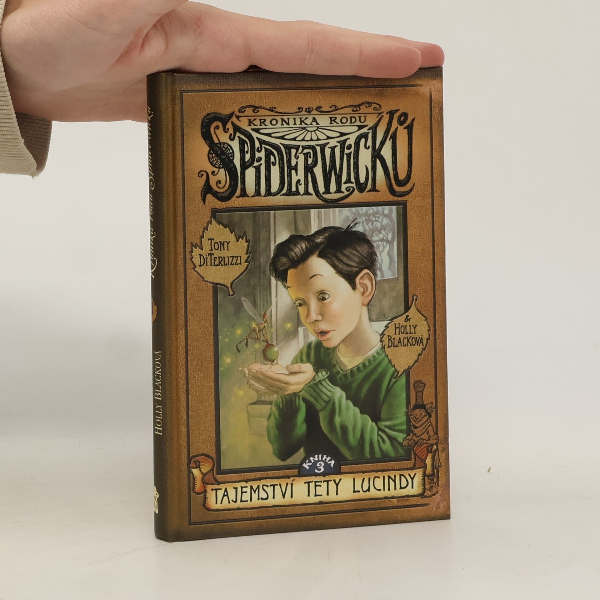 Holly Black Kronika rodu Spiderwicků. Tajemství tety Lucindy 3