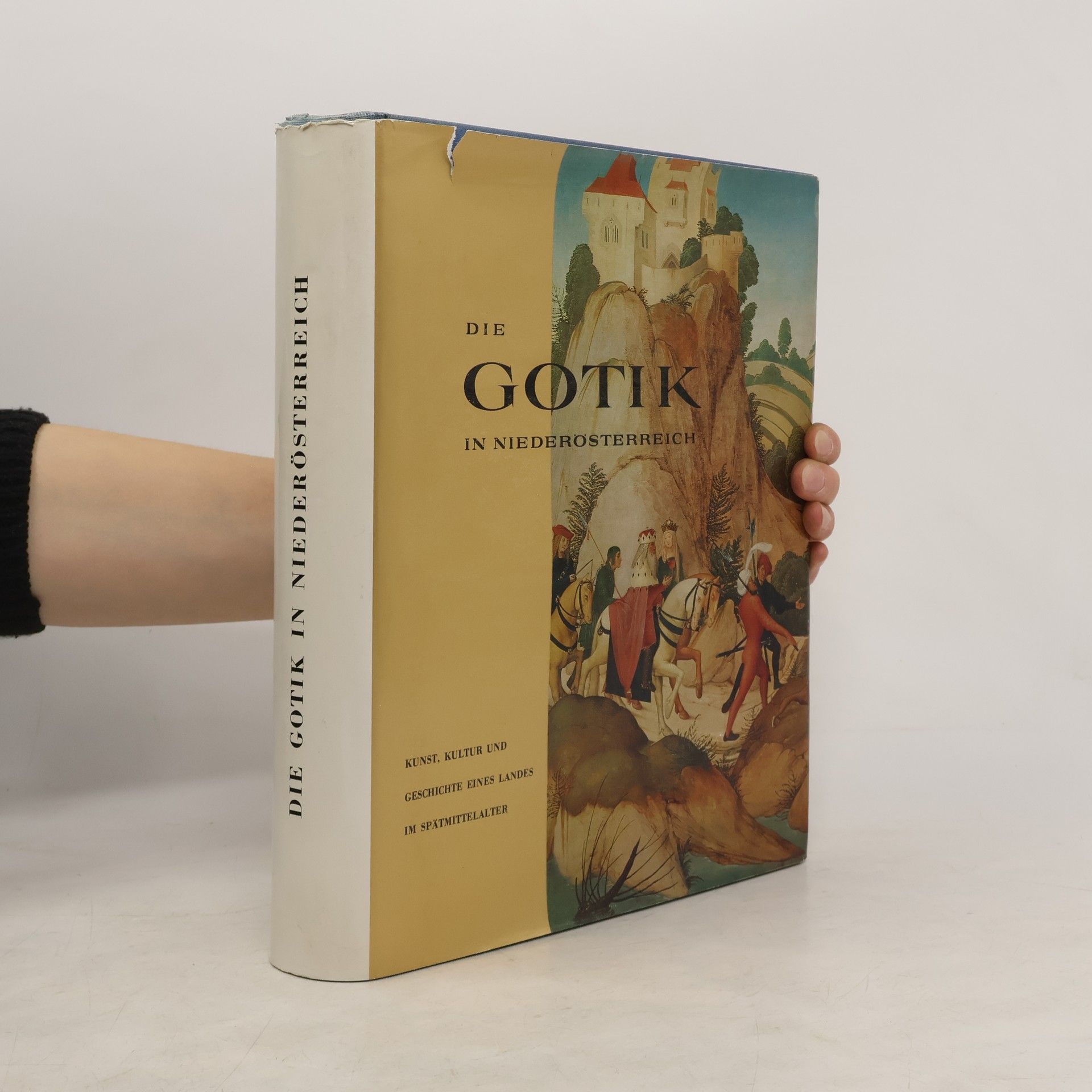 Die Gotik in Niederösterreich : Kunst, Kultur und Geschichte eines Landes im Spätmittelalter