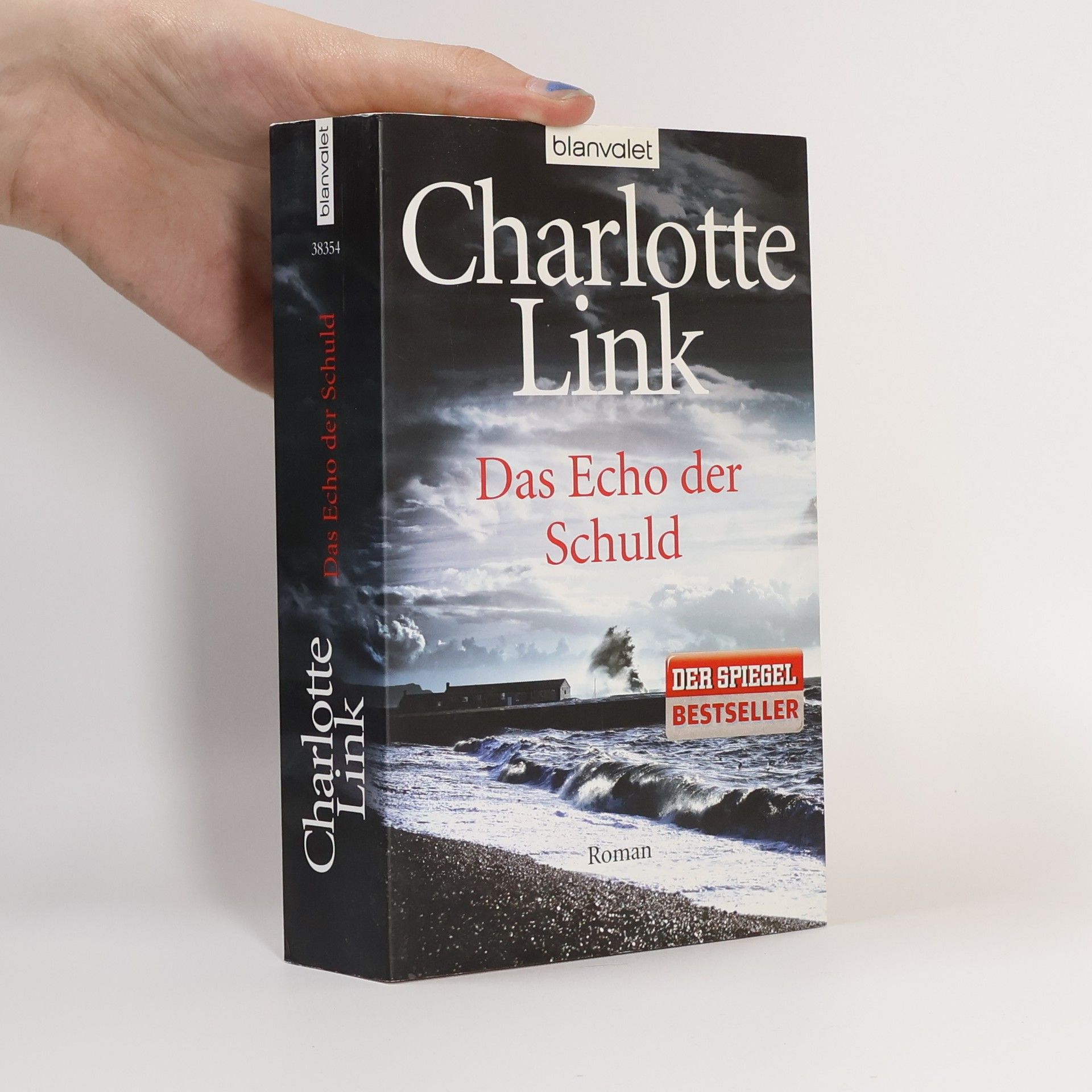Charlotte Link Das Echo der Schuld