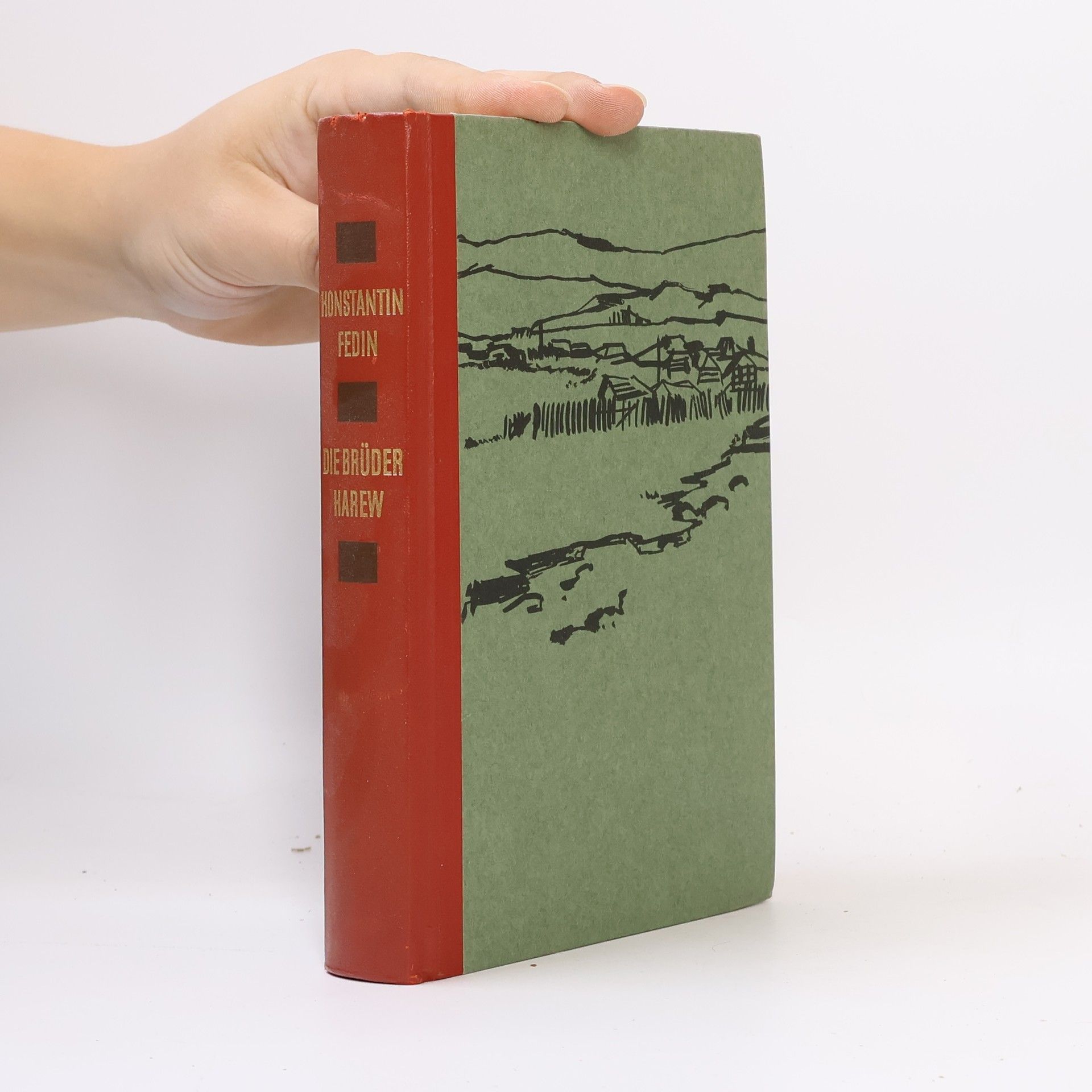 Konstantin Fedin Die Brüder Karew