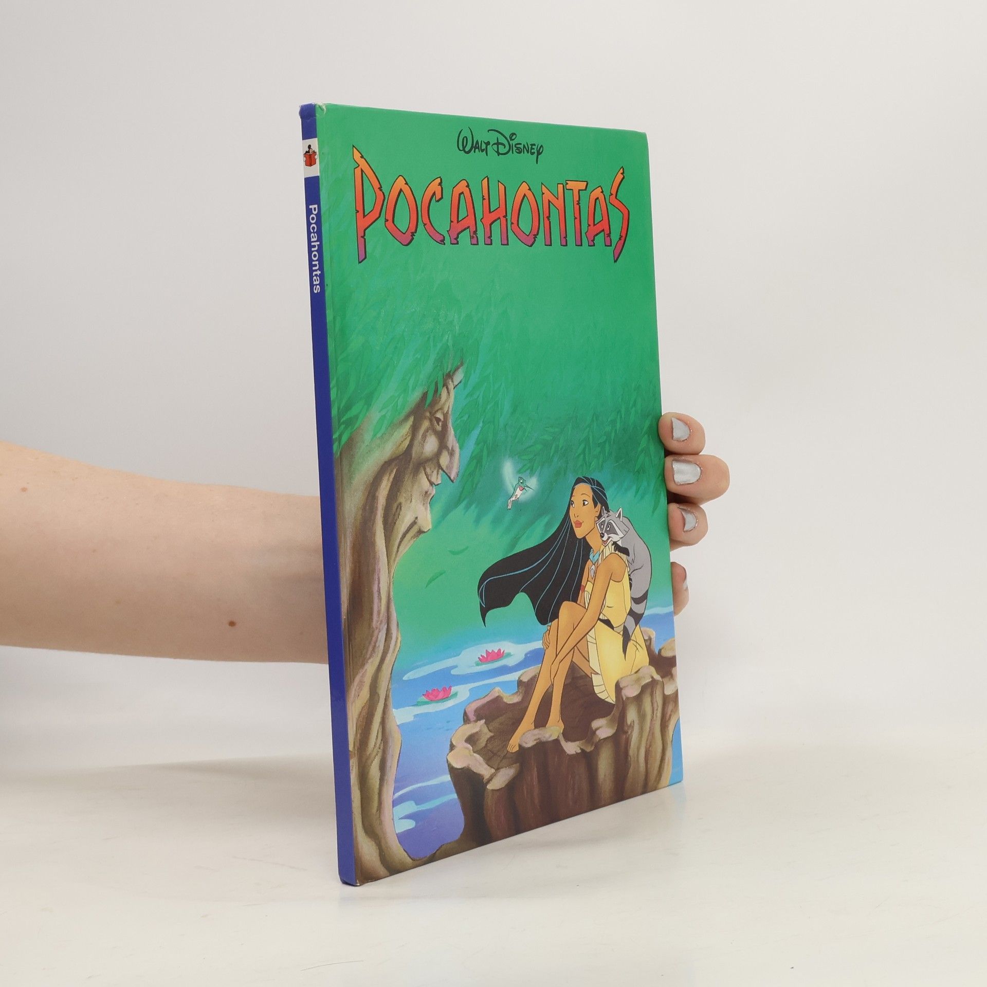 Walt Disney Pocahontas