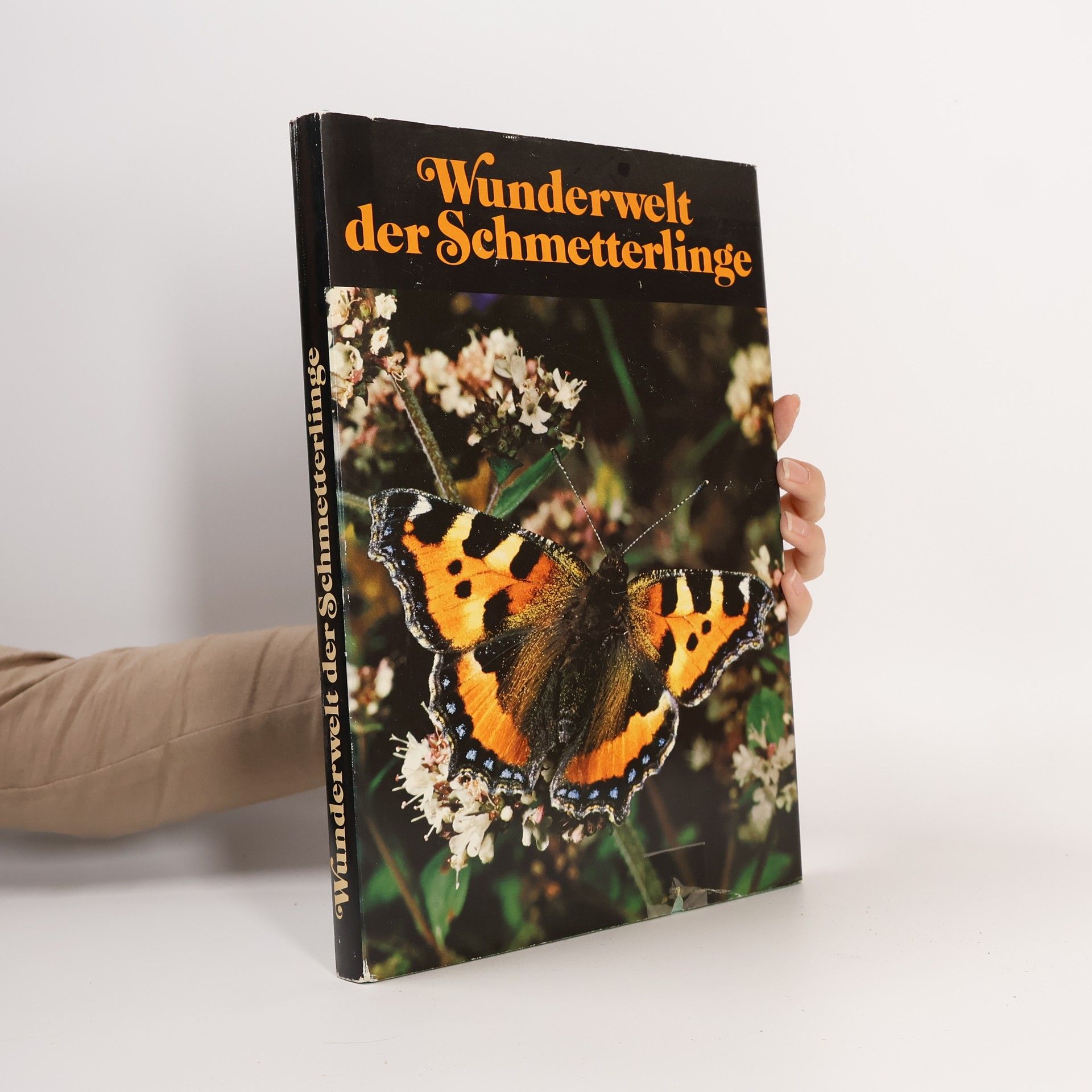 Kolektív autorov Wunderwelt der Schmetterlinge