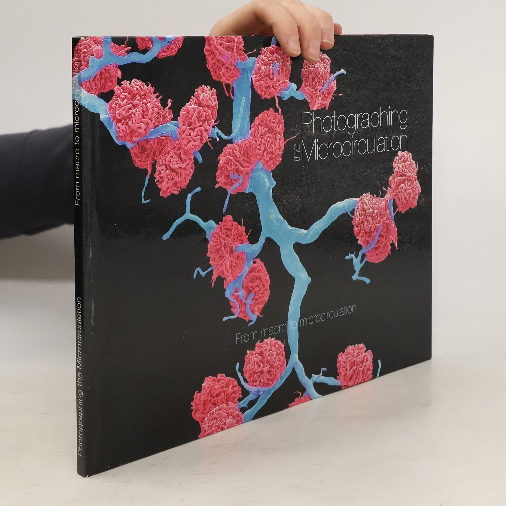 Kolektiv autorů Photographing the Microcirculation