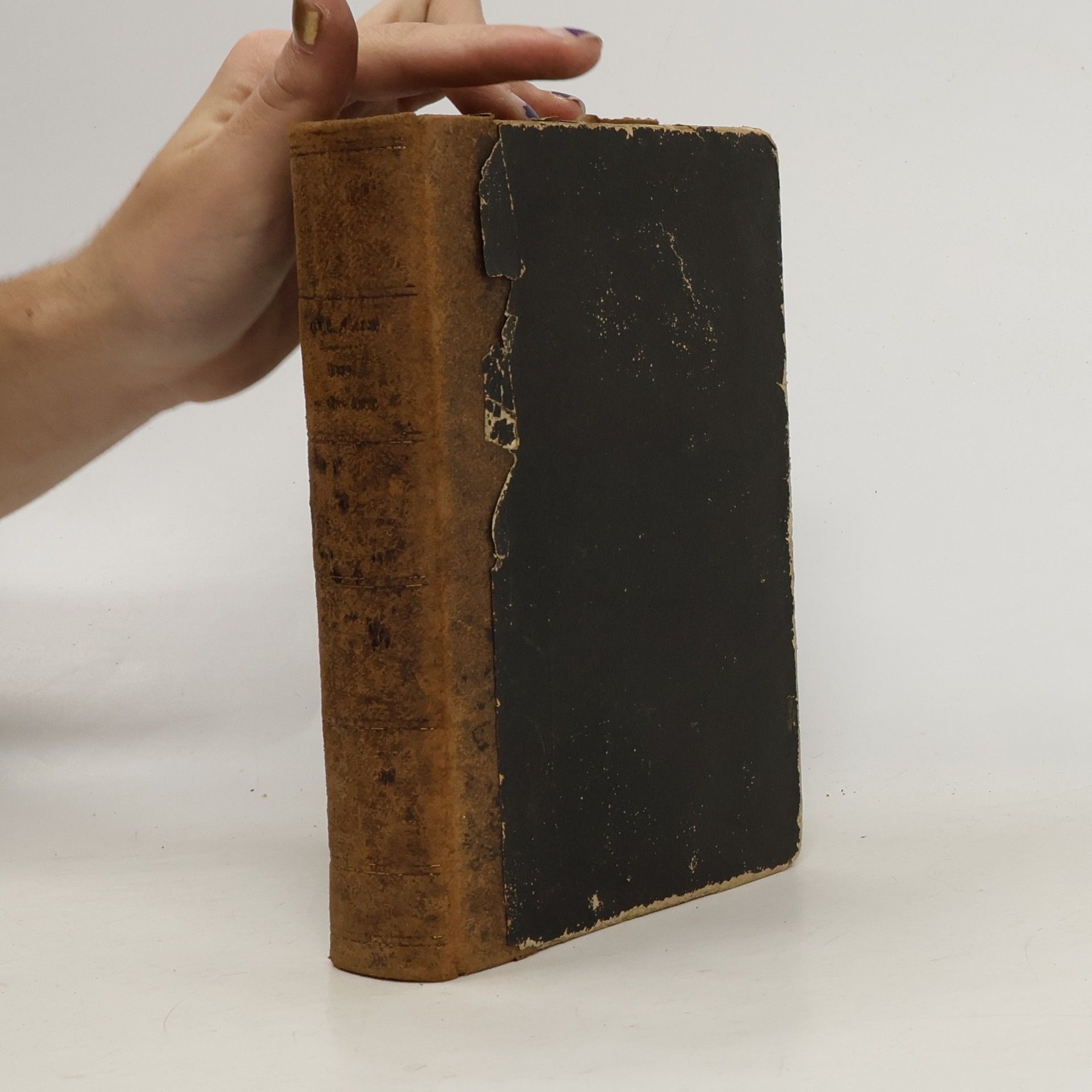 Georg Robert Florey Trost und Mahnung an Gräbern