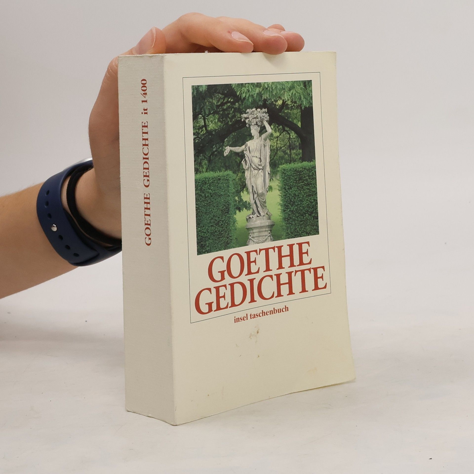 Autorenkollektiv Goethe Gedichte