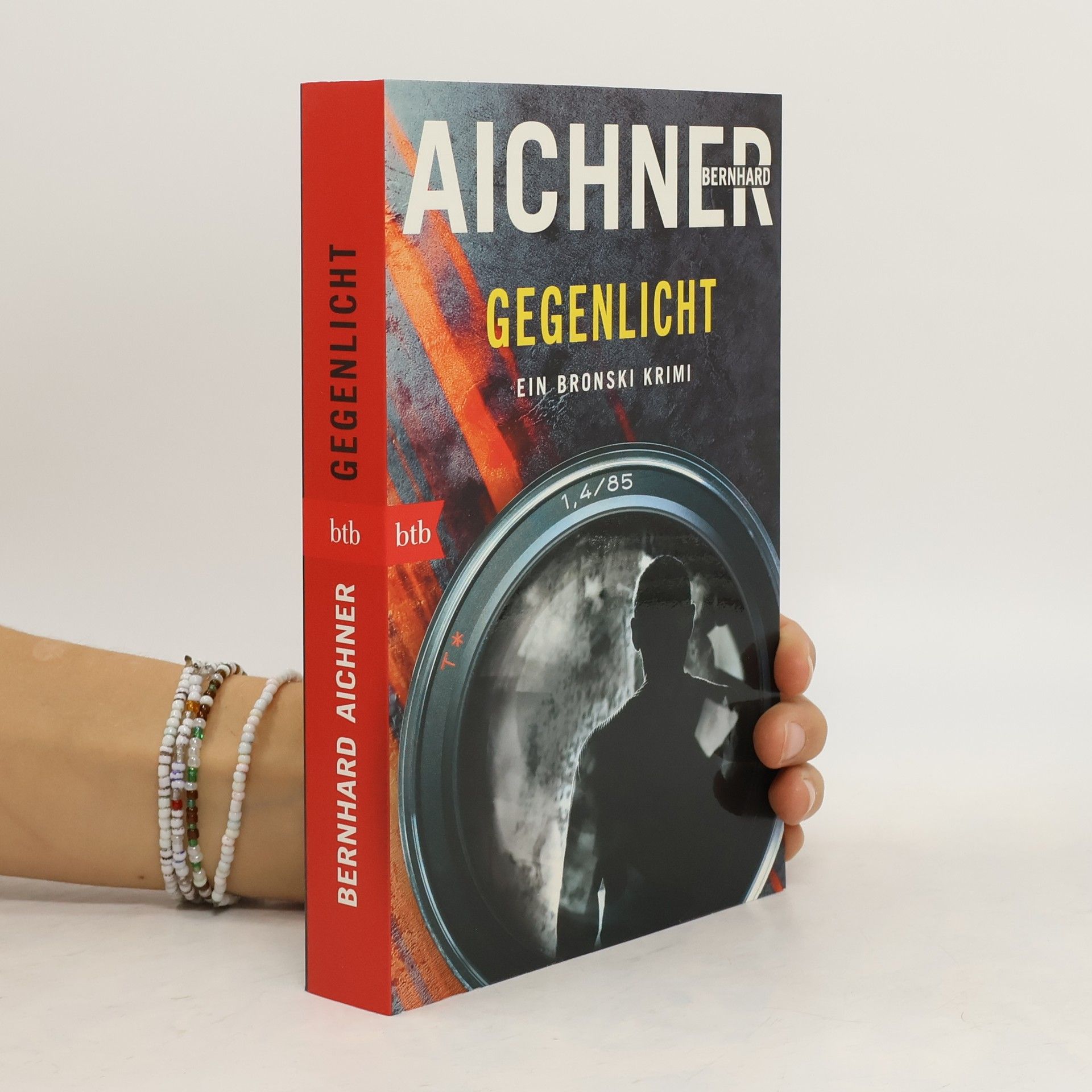 Bernhard Aichner Gegenlicht