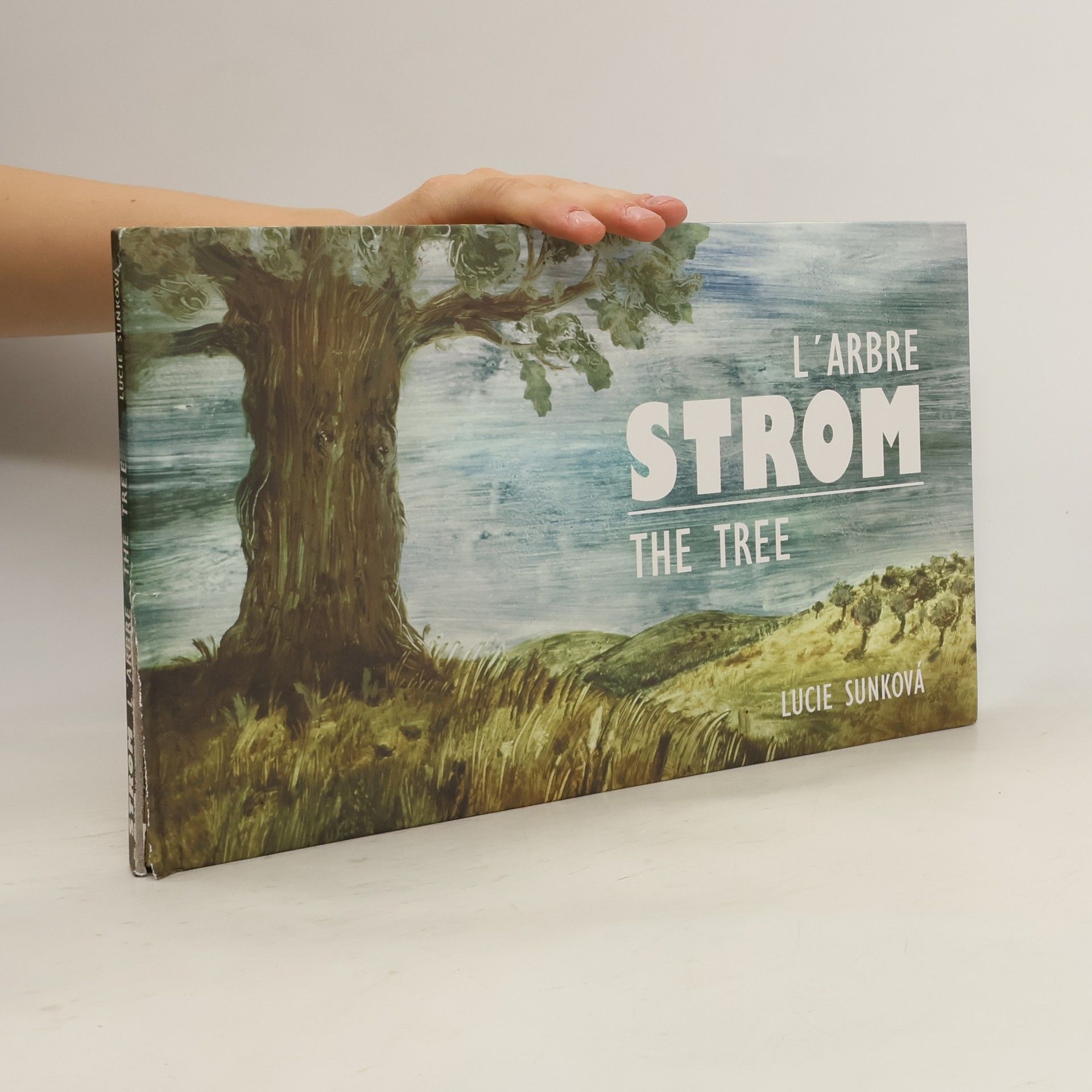 Collectif d'auteurs Strom