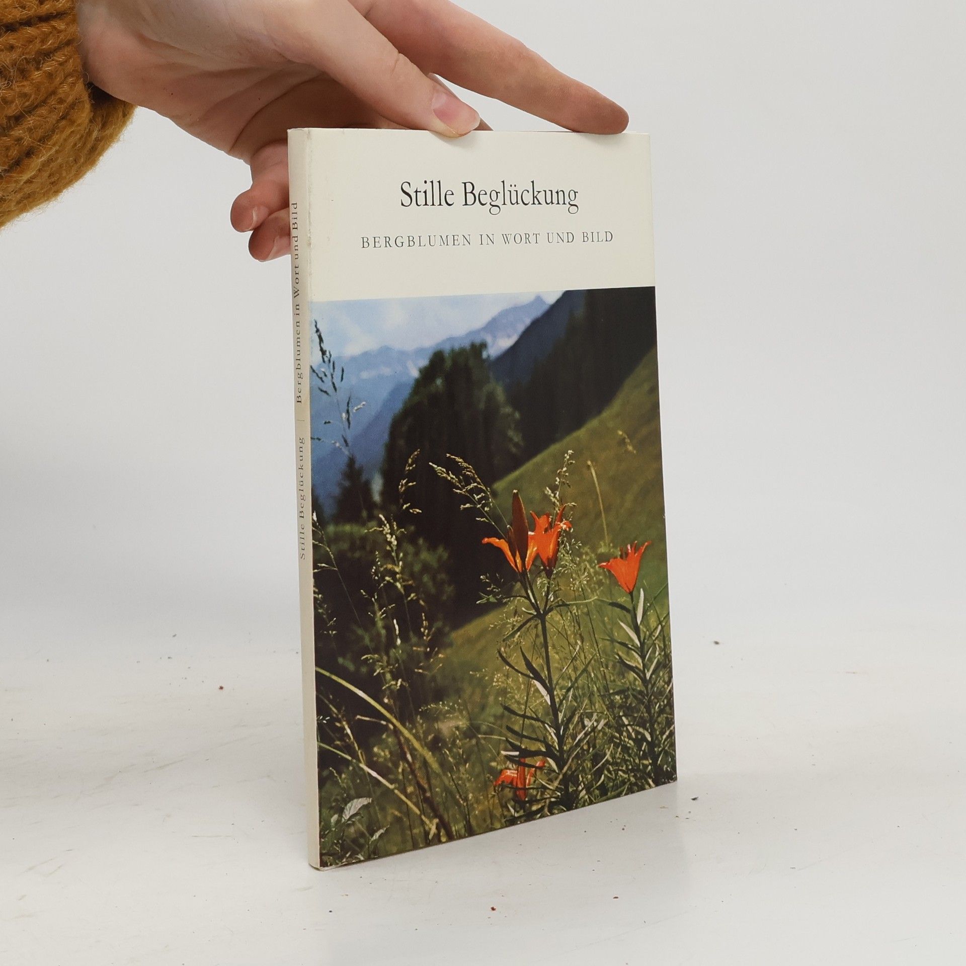 Autorenkollektiv Stille Beglückung