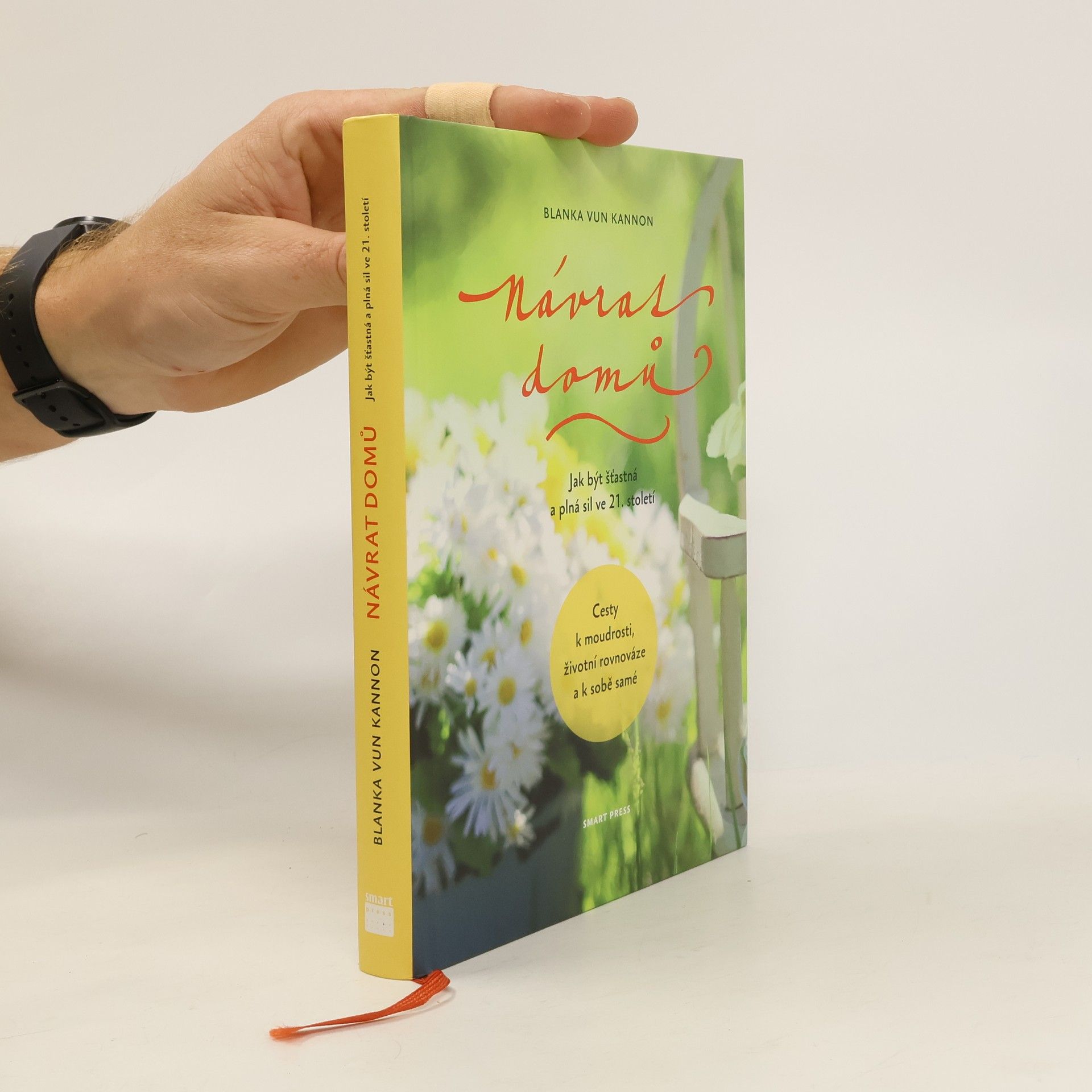 Blanka Vun Kannon Návrat domů : jak být šťastná a plná sil ve 21. století