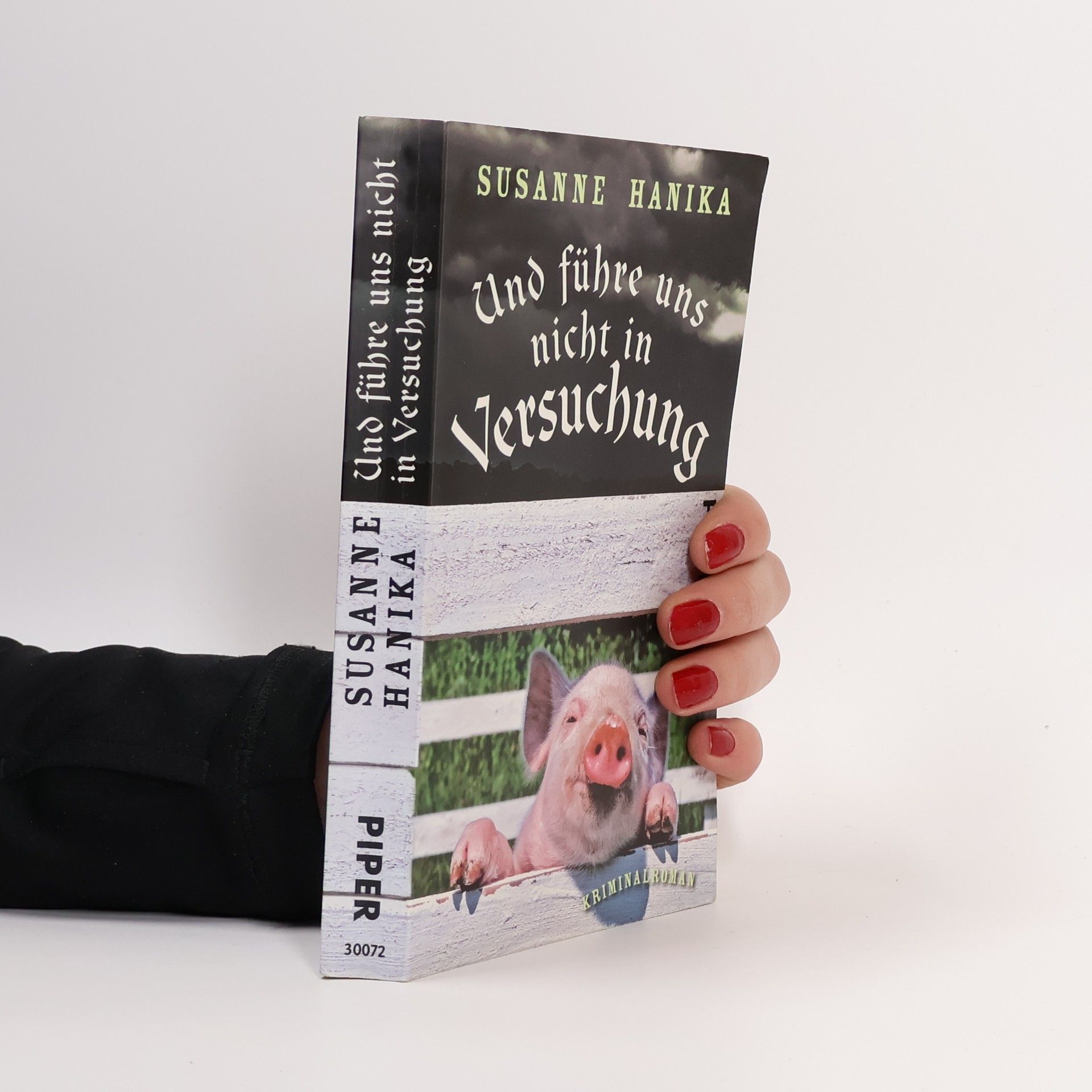 Susanne Hanika Und führe uns nicht in Versuchung