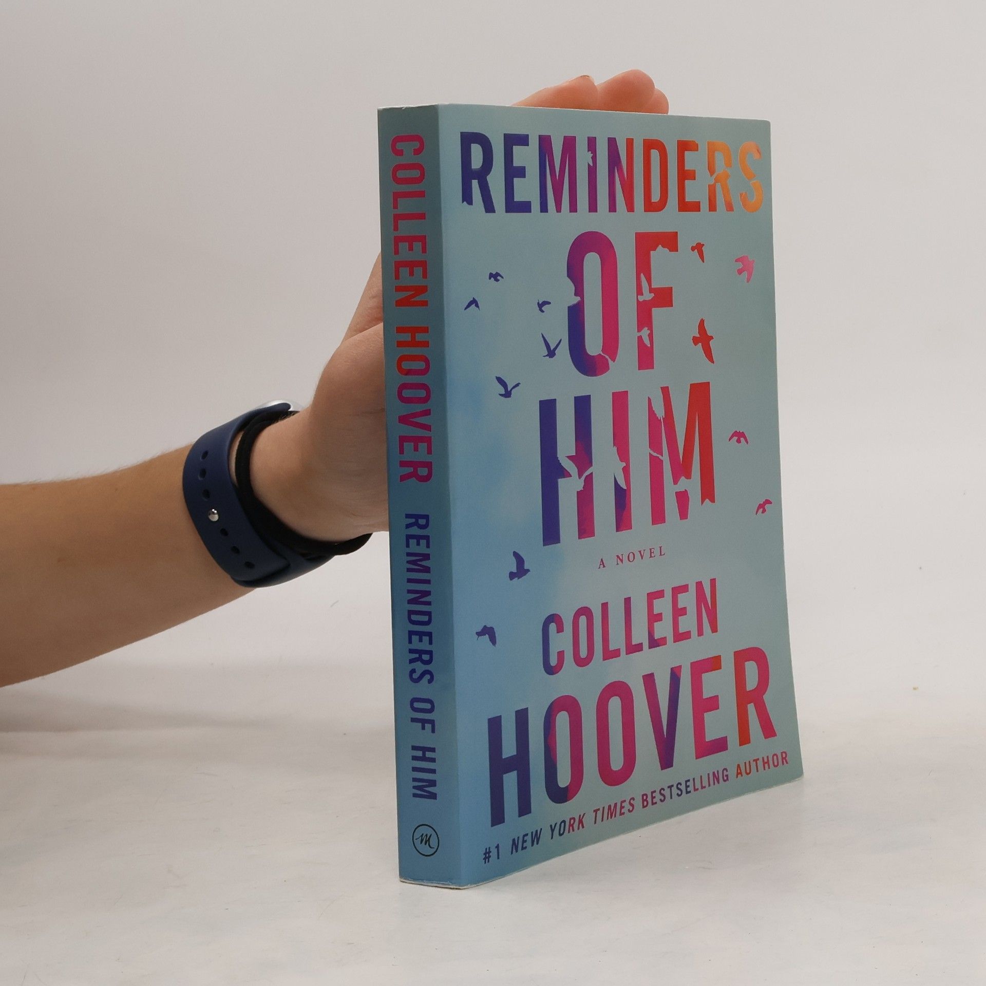 Colleen Hoover Reminders of him