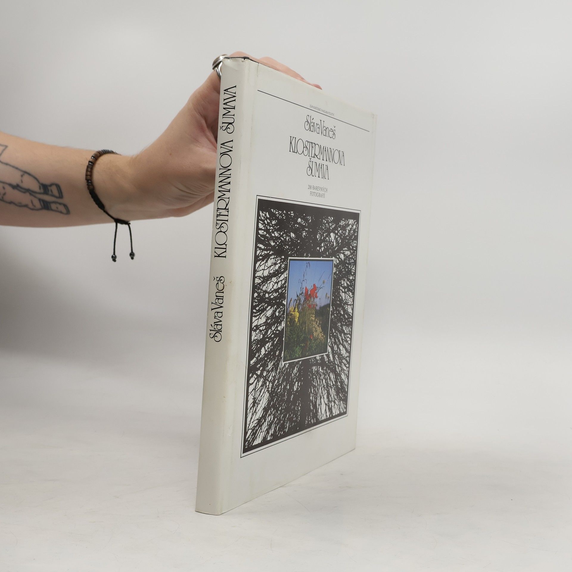 Vaneš Sláva Klostermannova Šumava