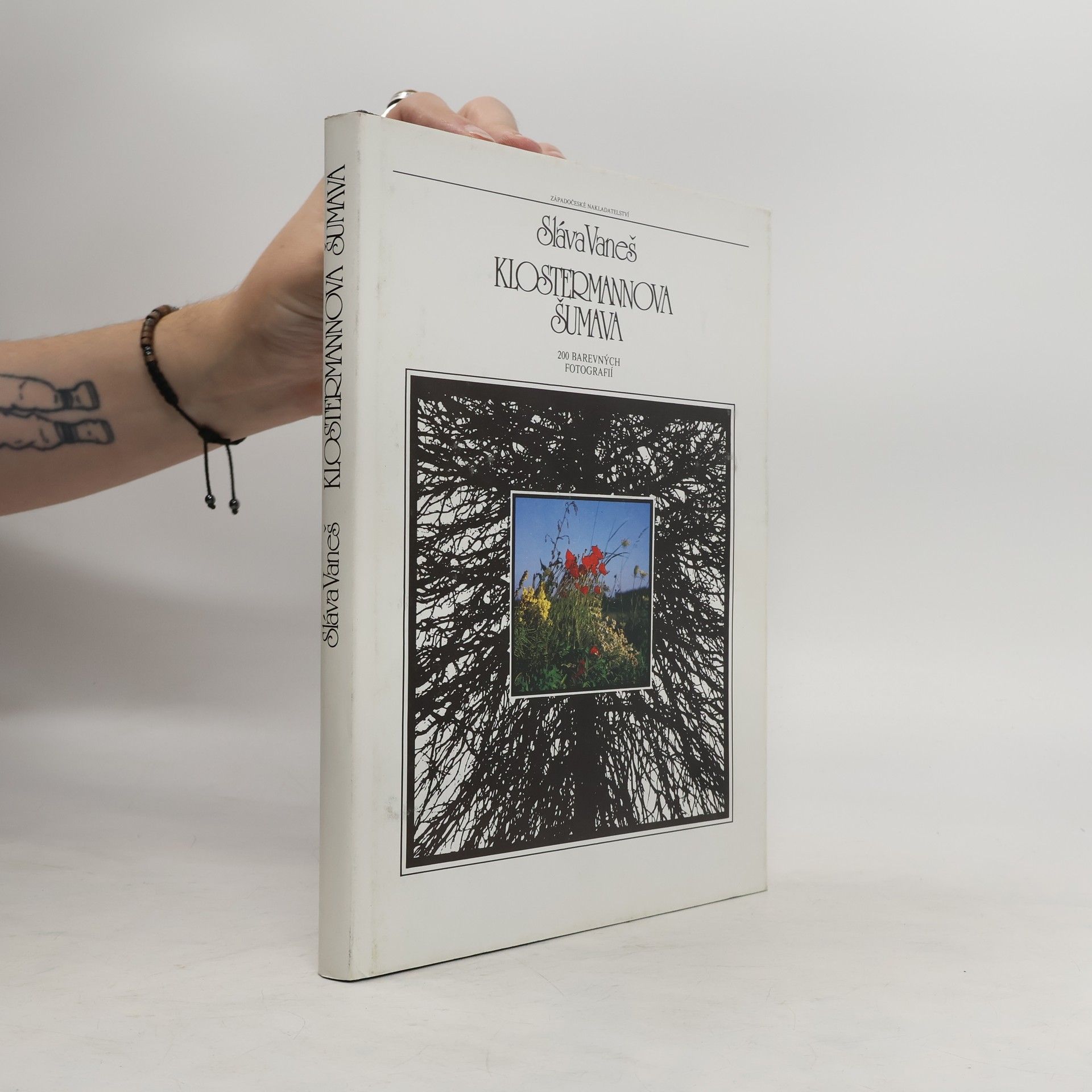 Vaneš Sláva Klostermannova Šumava