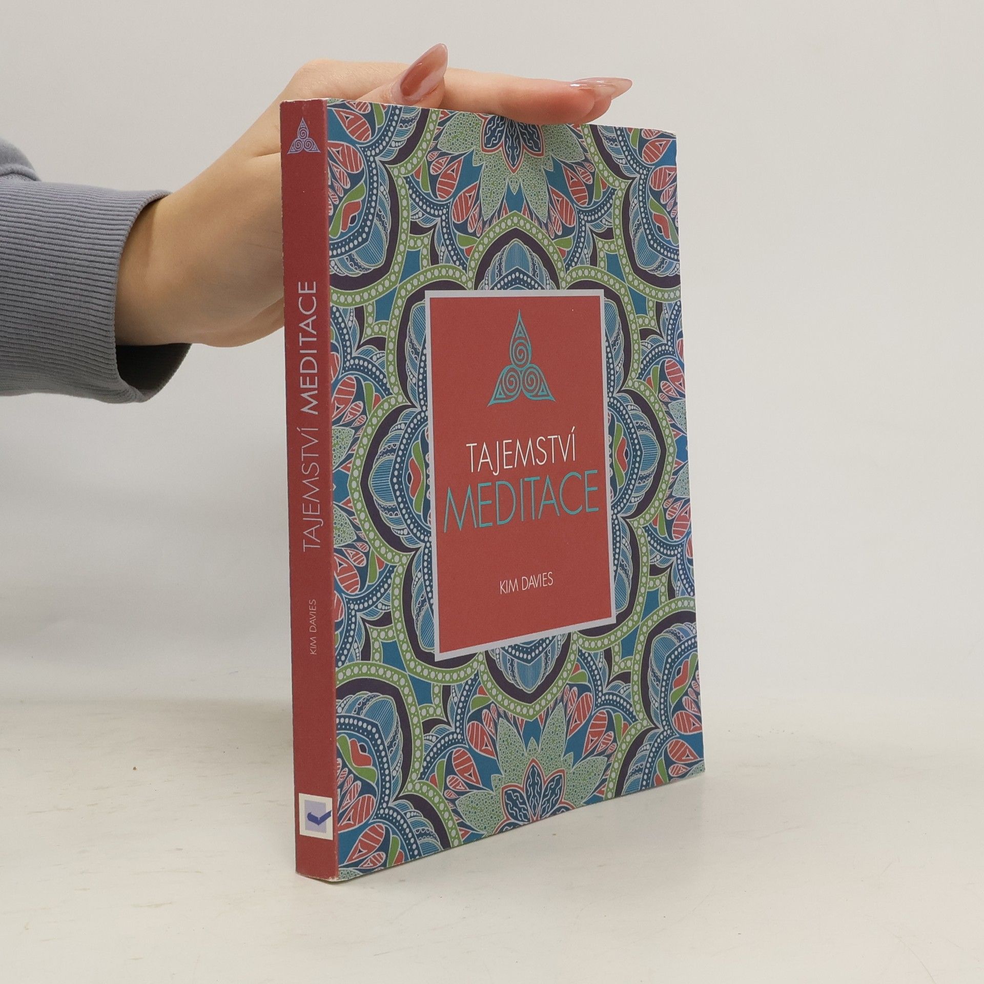 Kim Davies Tajemství meditace