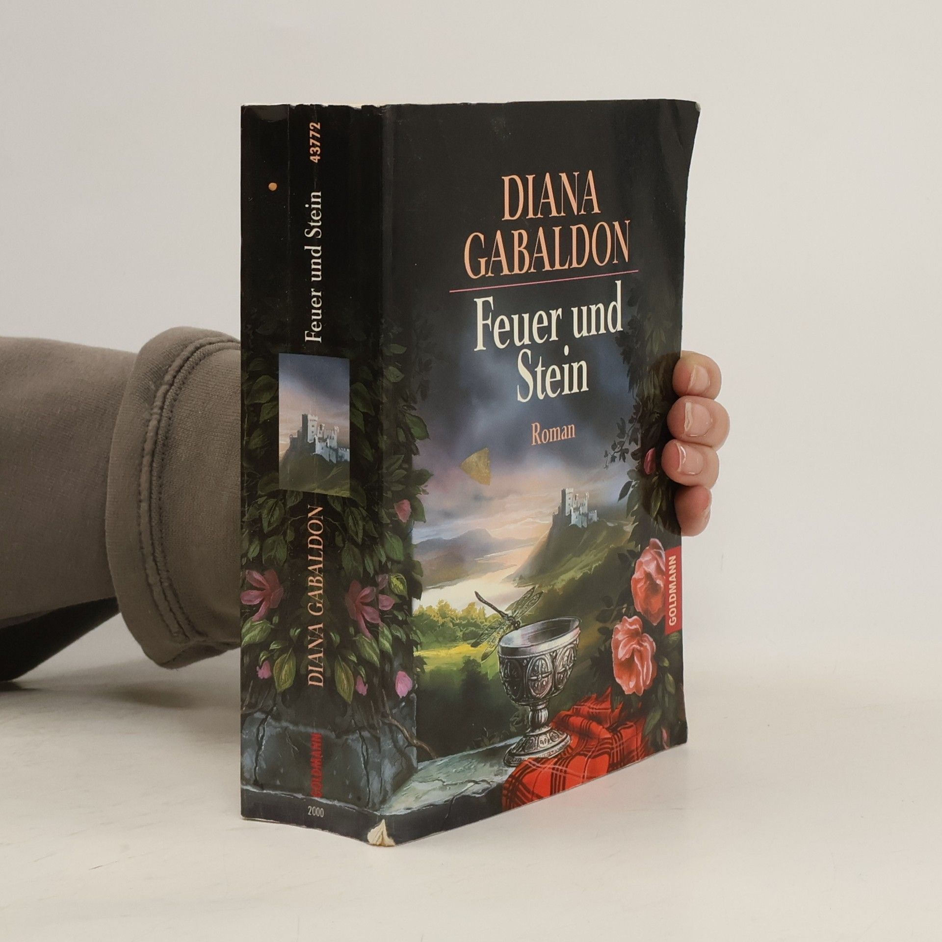 Diana Gabaldon Feuer und Stein