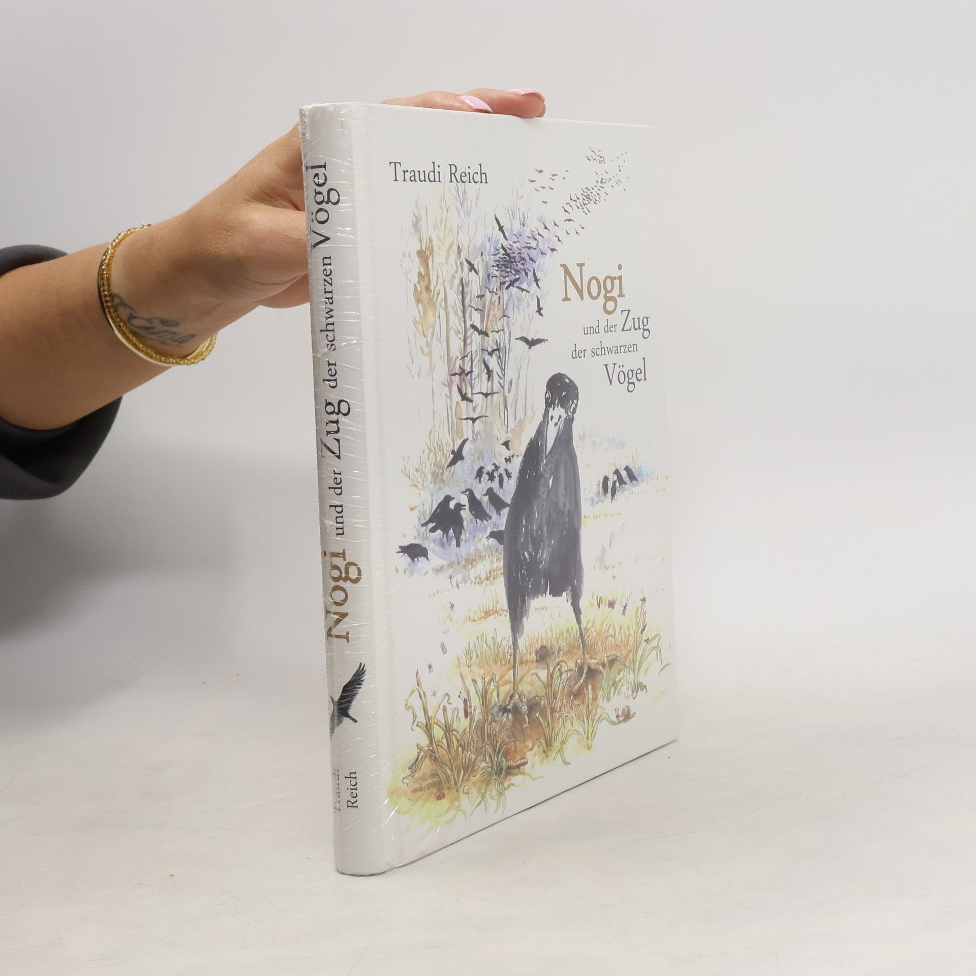 Nogi und der Zug der schwarzen Vögel