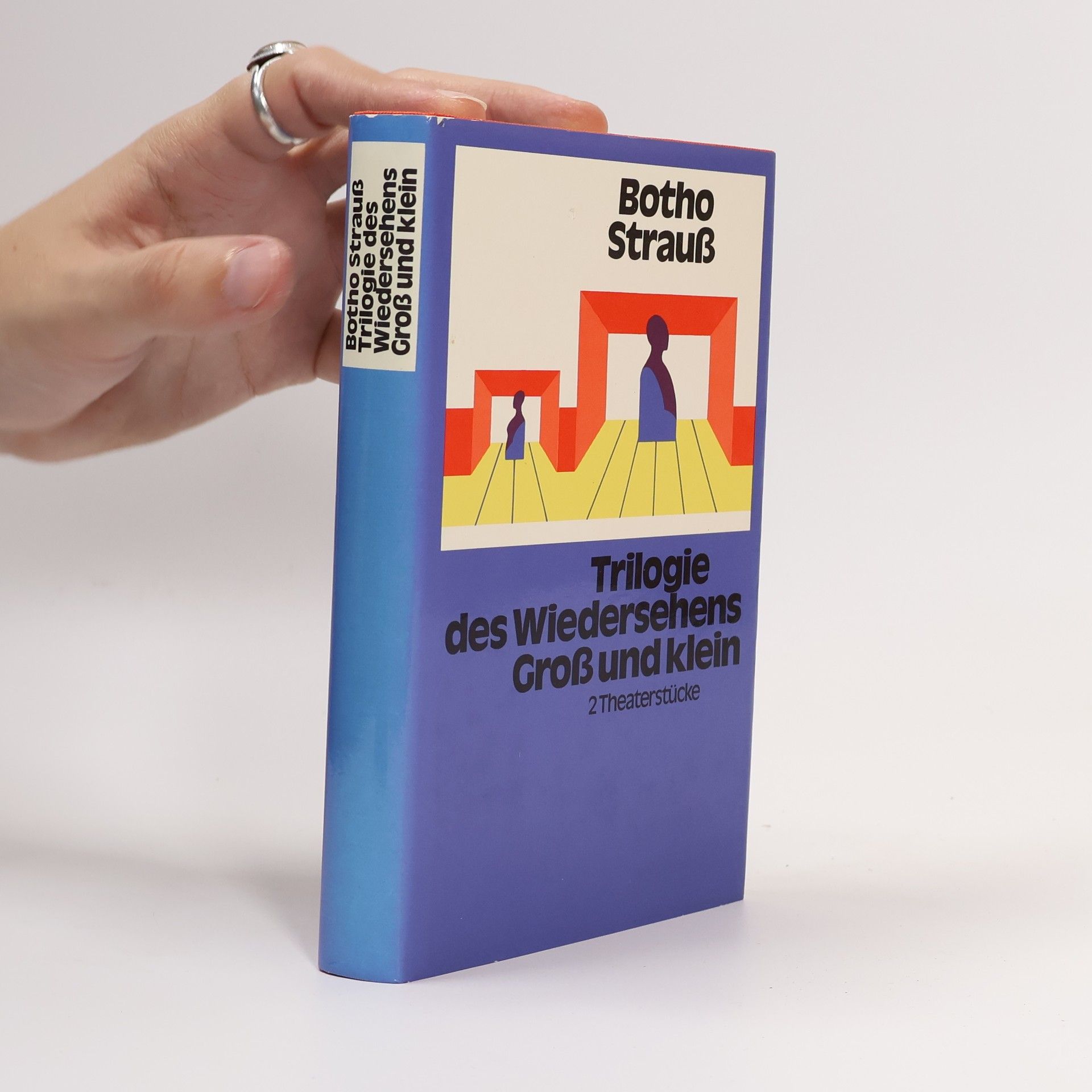 Botho Strauss Trilogie des Wiedersehens. Gross und klein
