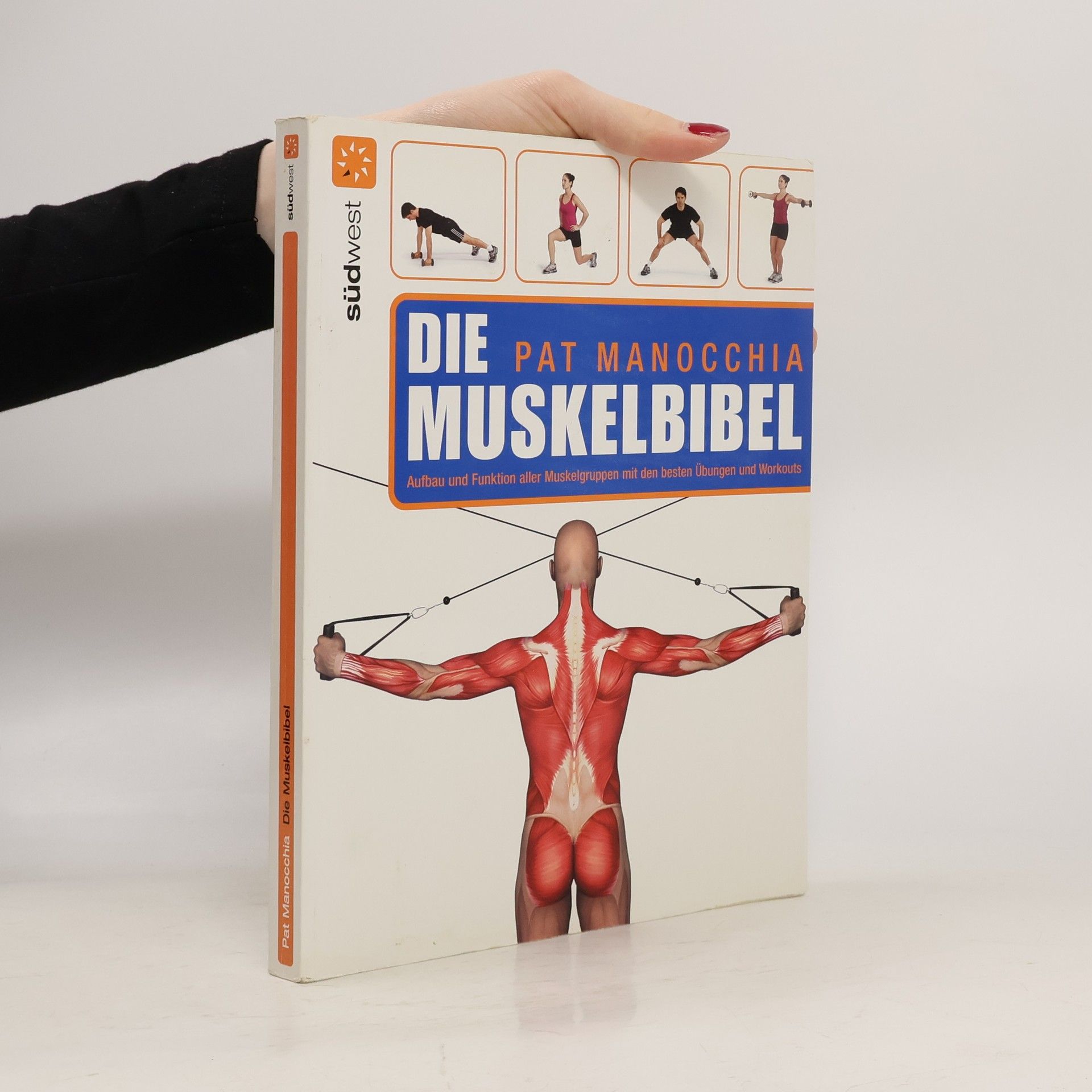 Das Muskelbuch