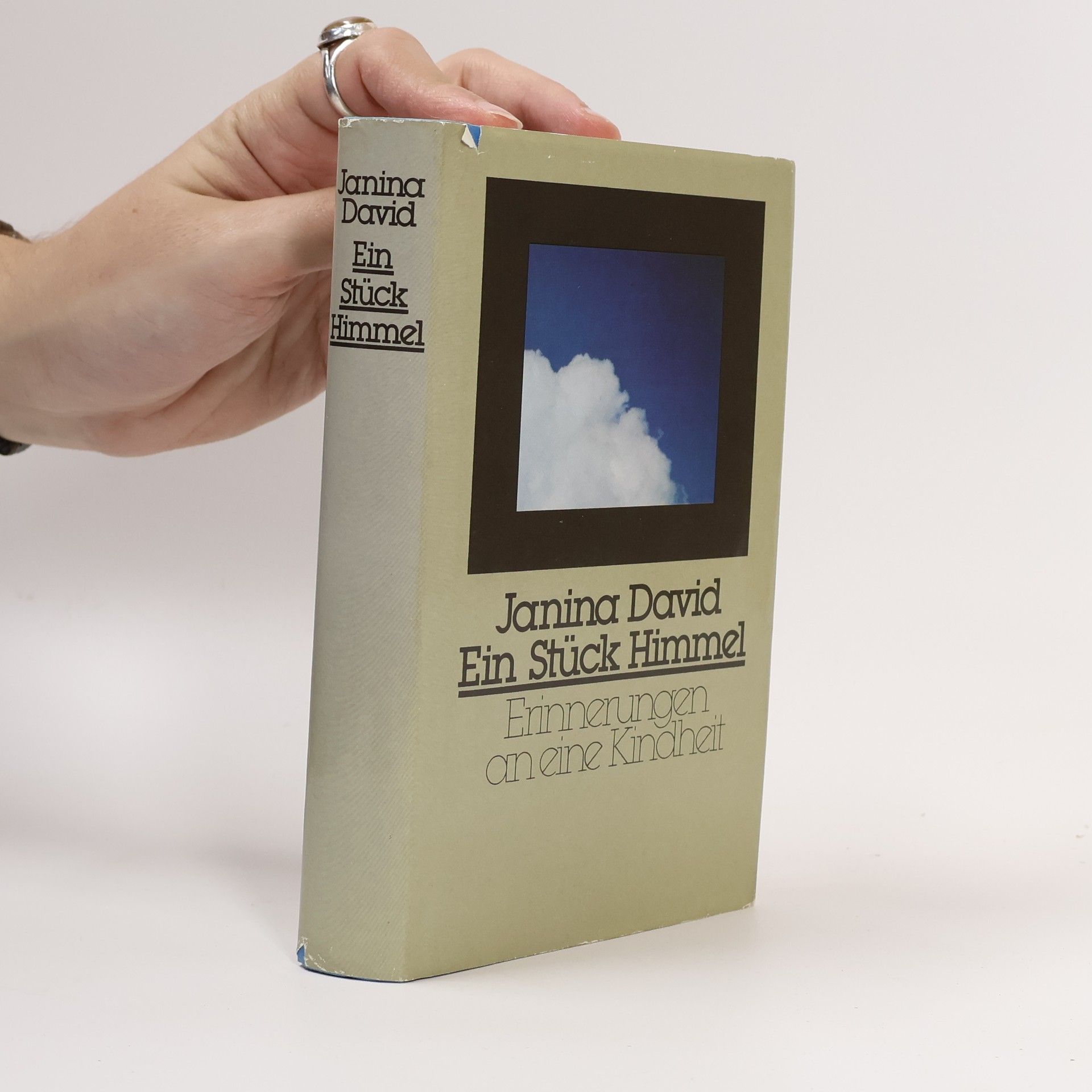 Janina David Ein Stück Himmel