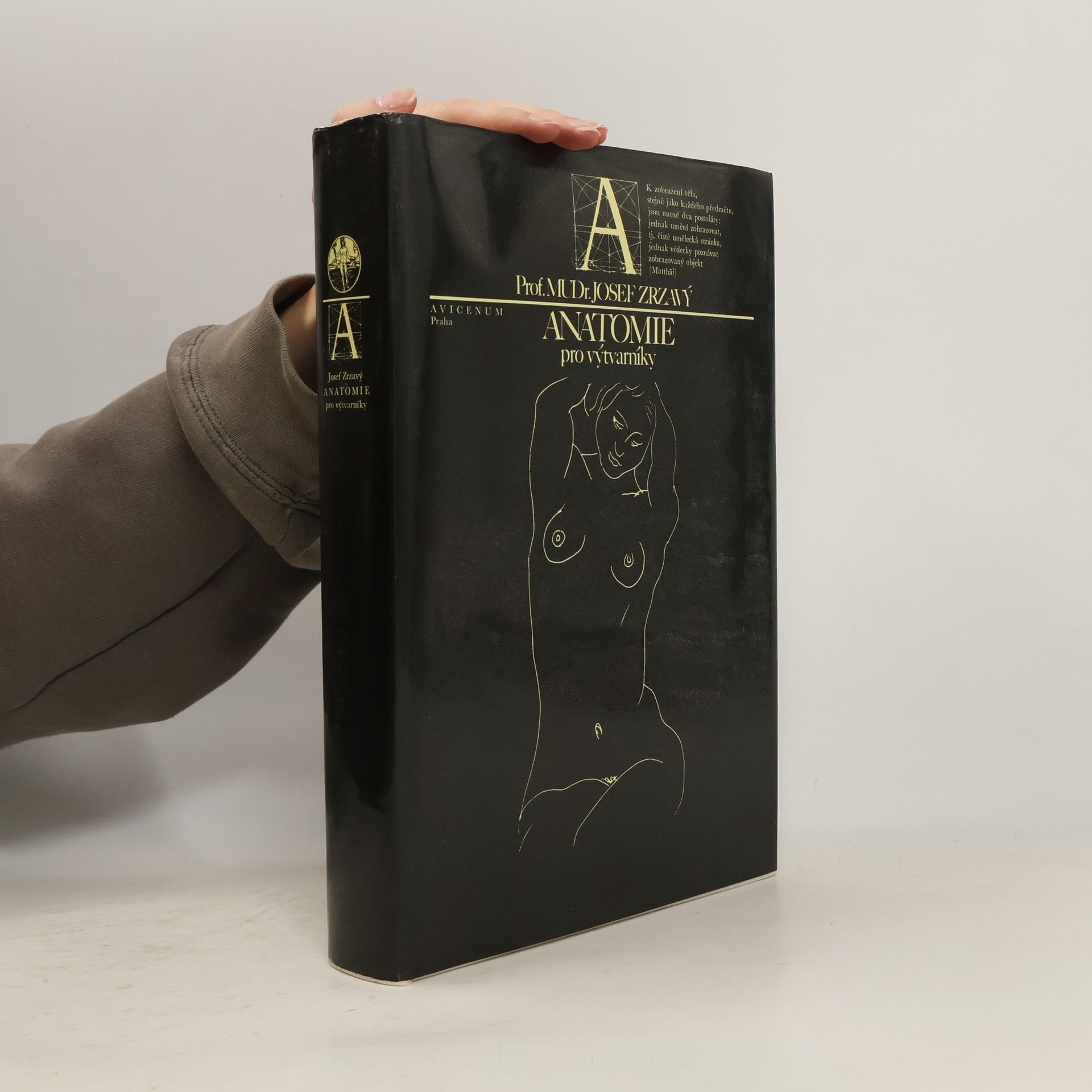 Anatomie pro výtvarníky