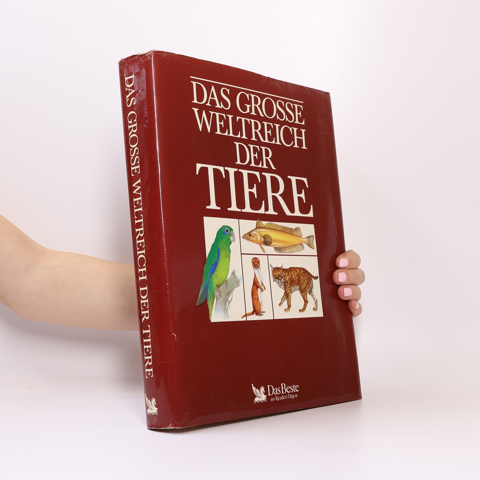 Philip Whitfield Das grosse Weltreich der Tiere