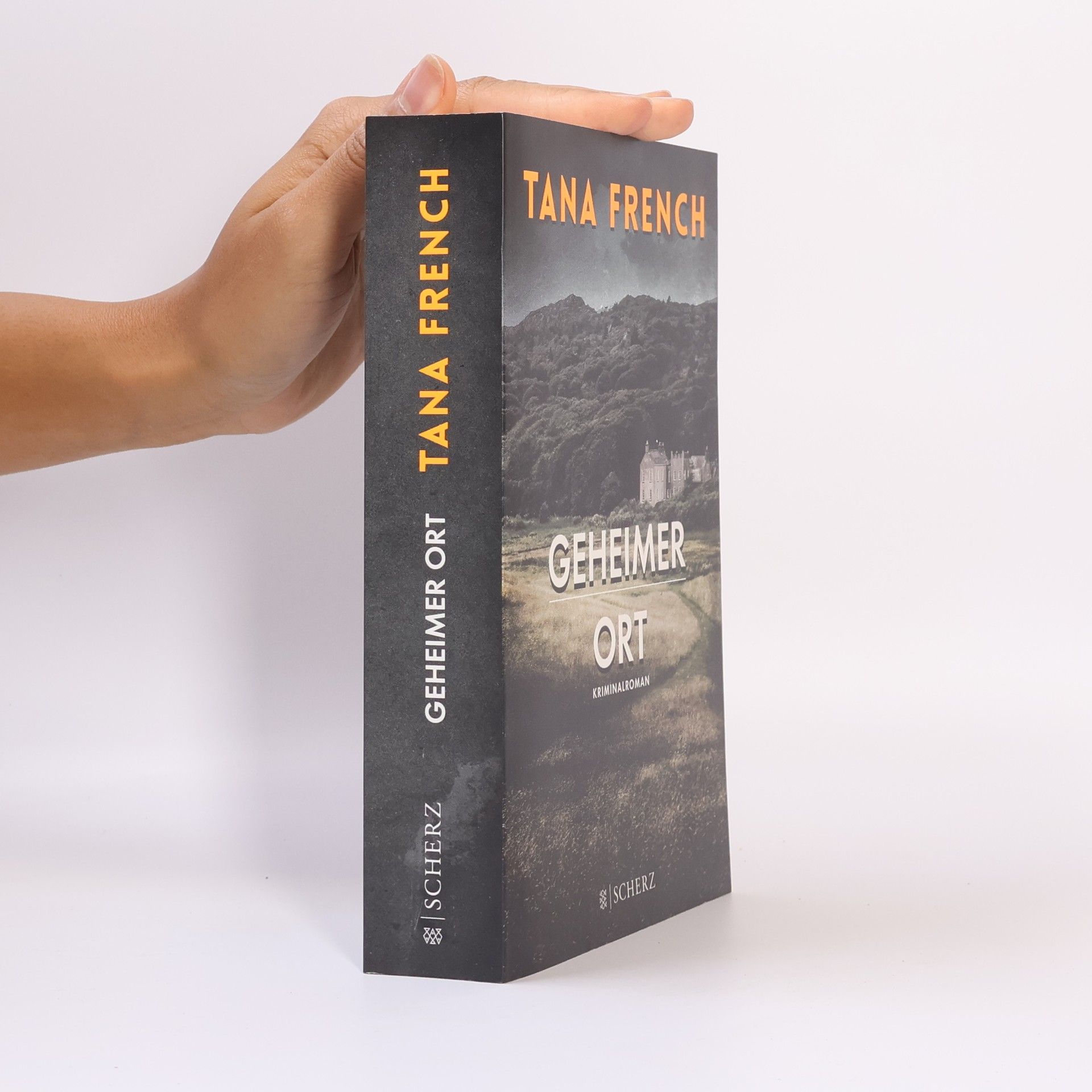 Tana French Geheimer Ort