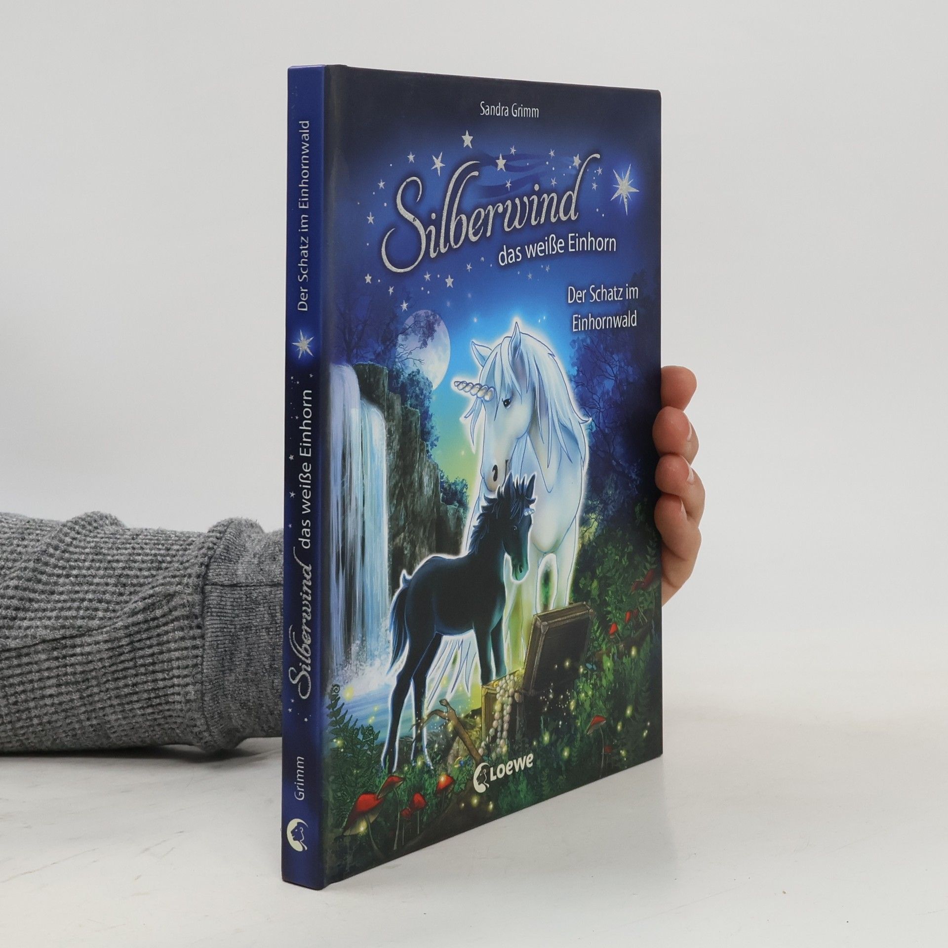 Sandra Grimm Der Schatz im Einhornwald