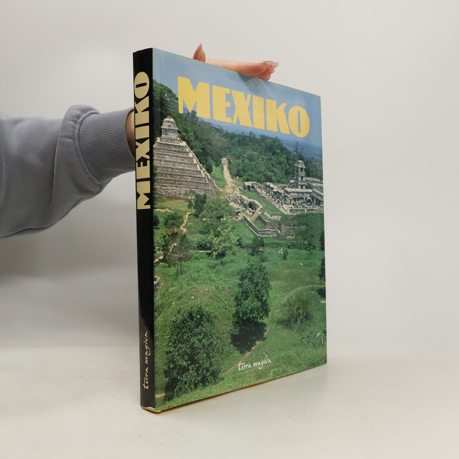 Autorenkollektiv Mexiko