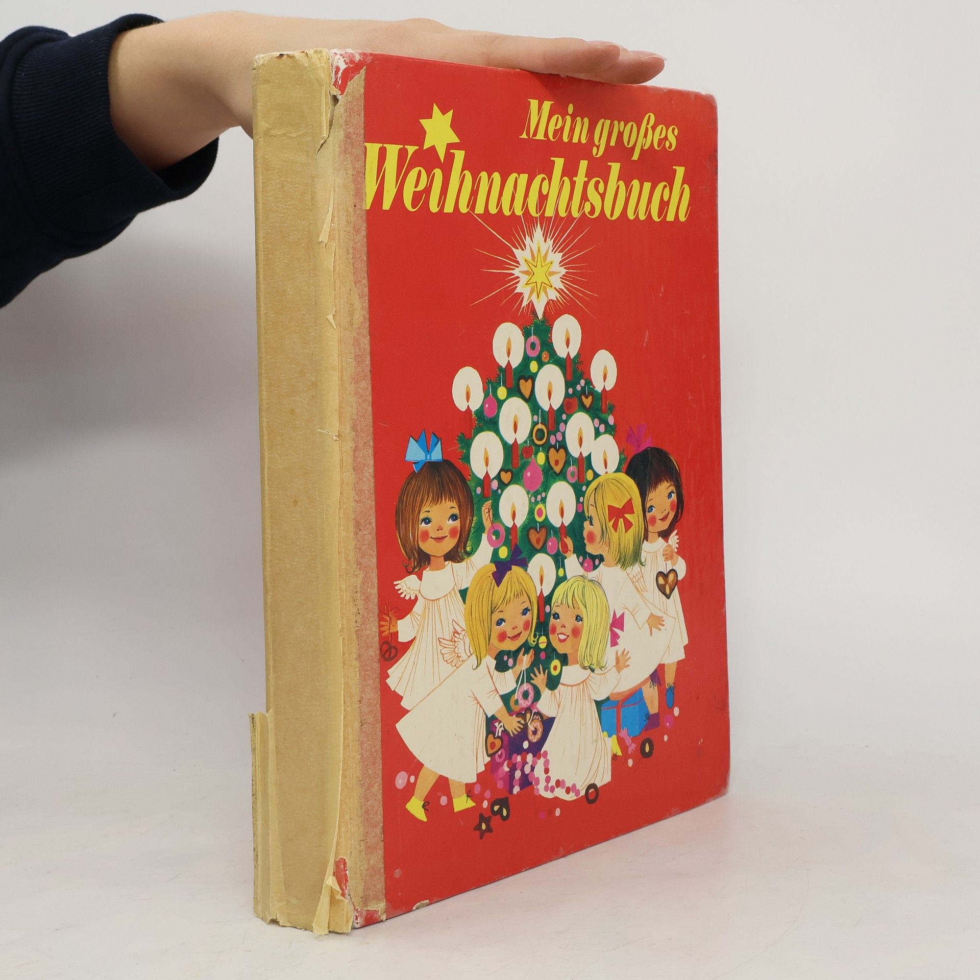 Autorenkollektiv Mein Grosses Weihnachtsbuch